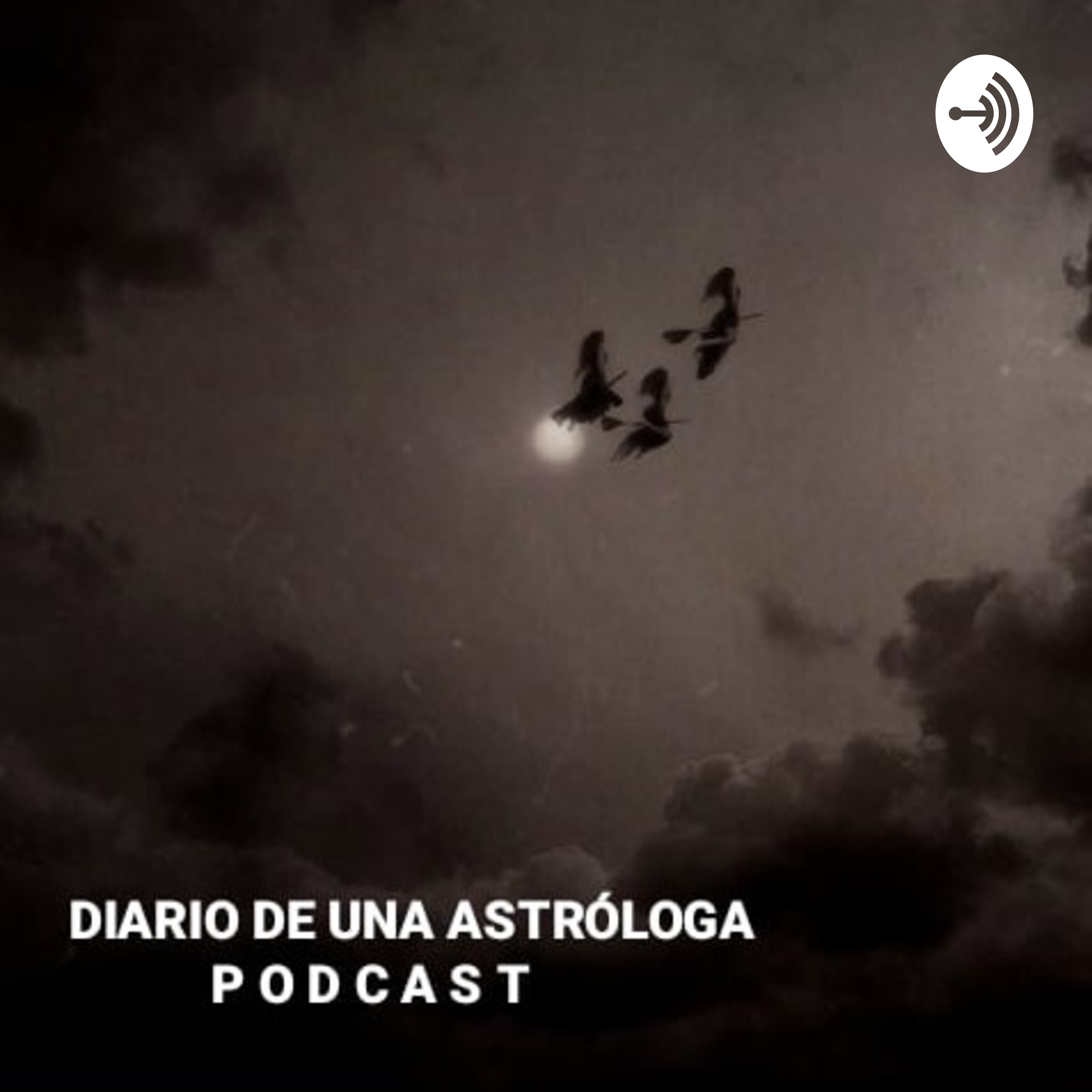 DIARIO DE UNA ASTROLOGA - ESOTERISMO DE LAS TRAMAS VINCULARES
