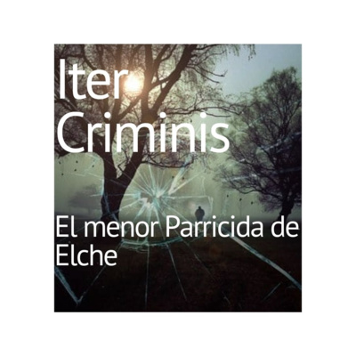 Iter Criminis. Camino del Delito