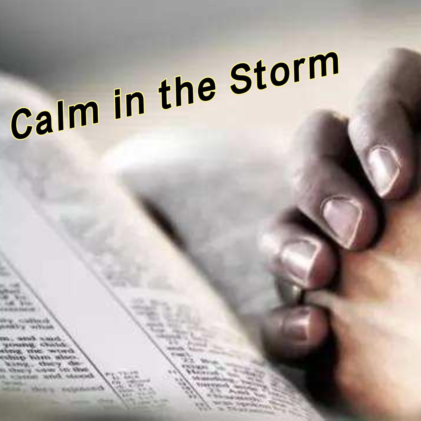 Calm in the Storm episode artwork