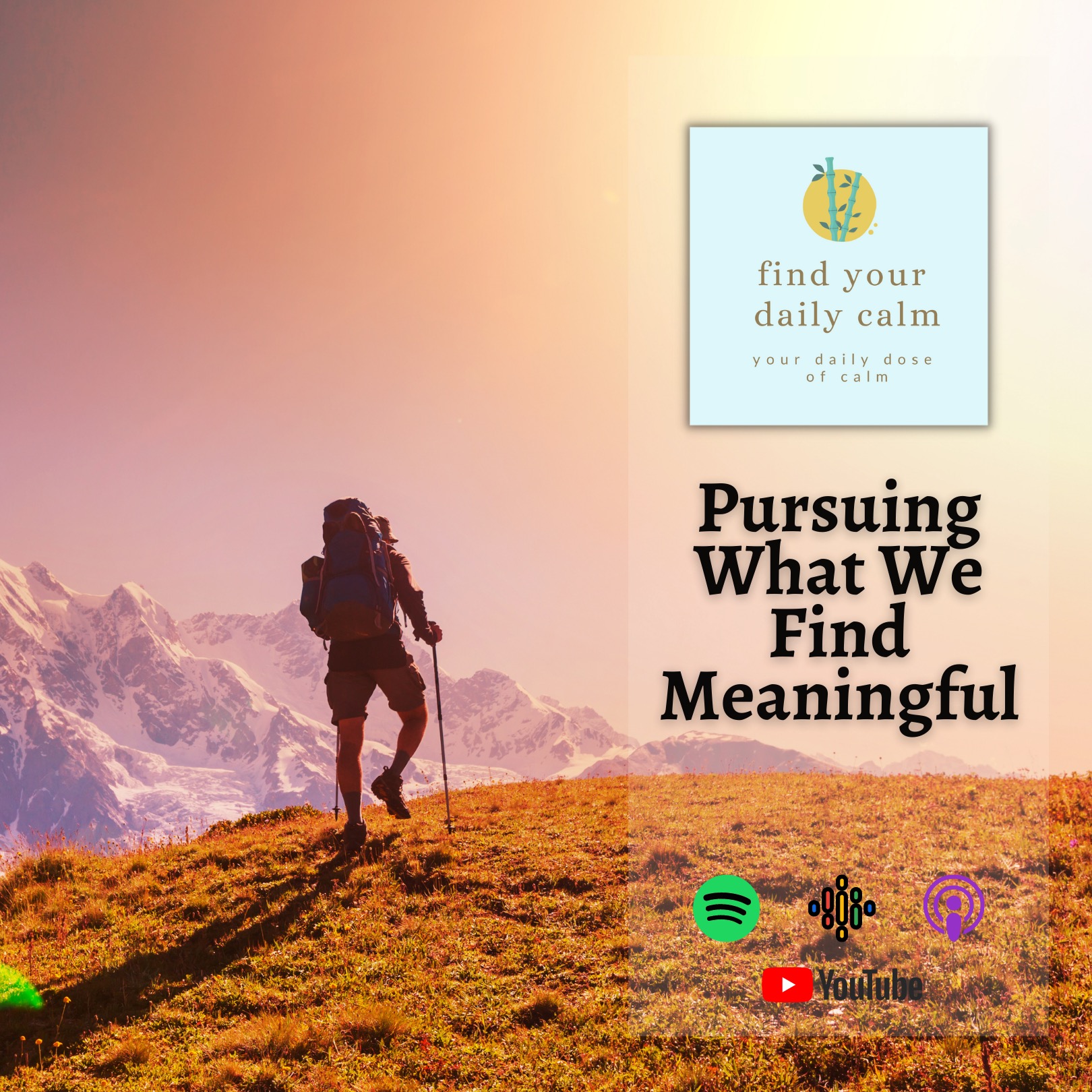 Pursuing What We Find Meaningful