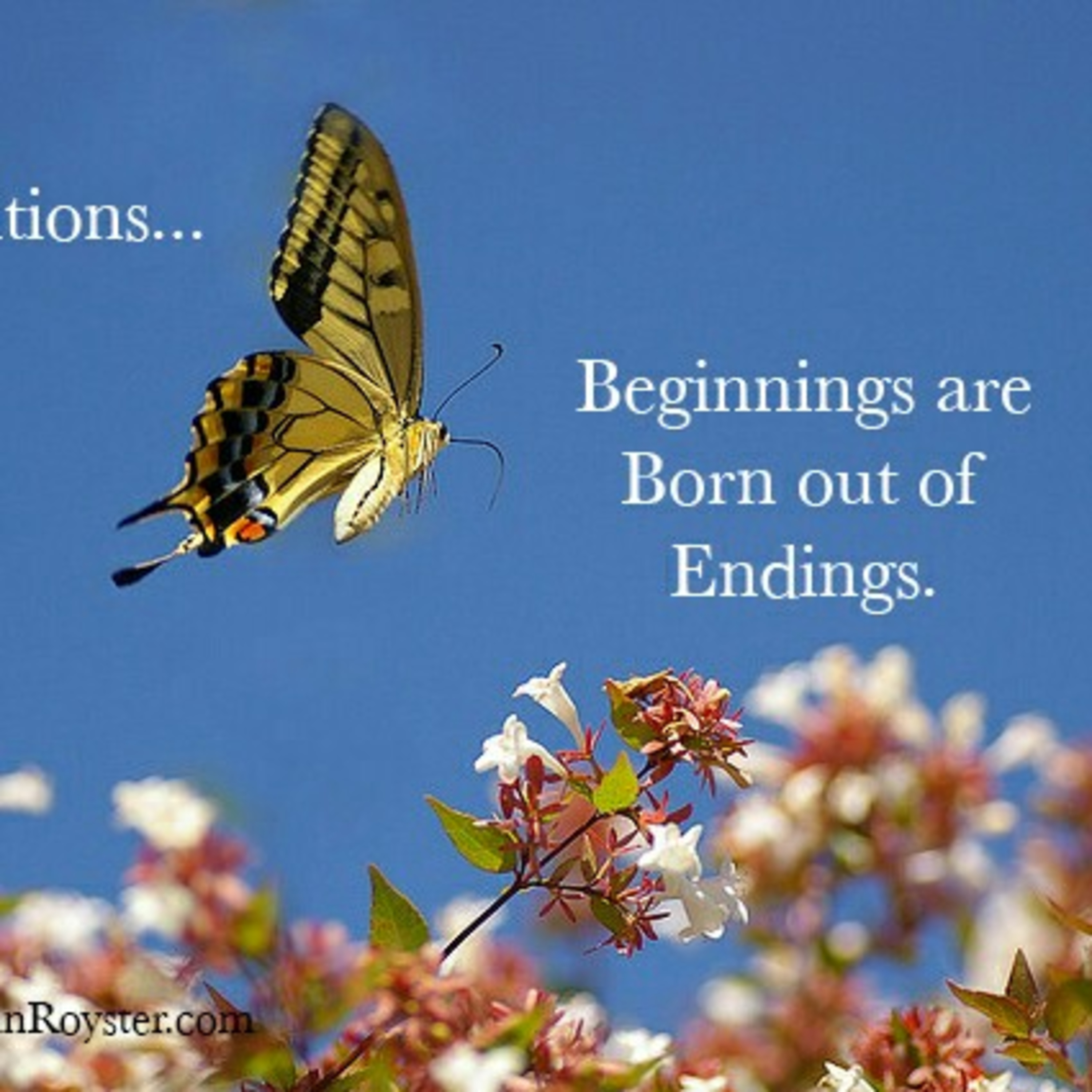 Life's Transitions (The Purpose For Change)