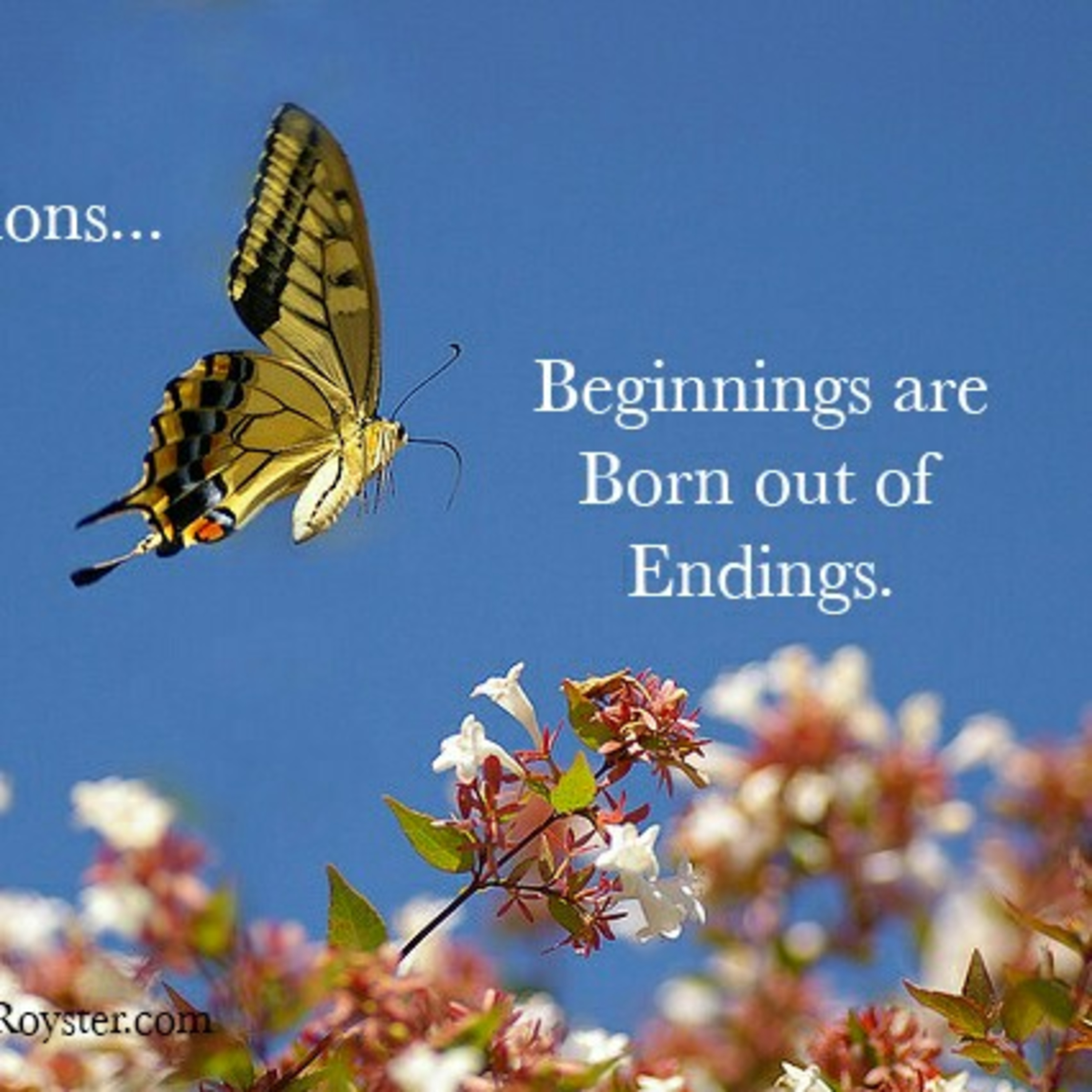 Life's Transitions (The Purpose For Change) episode artwork
