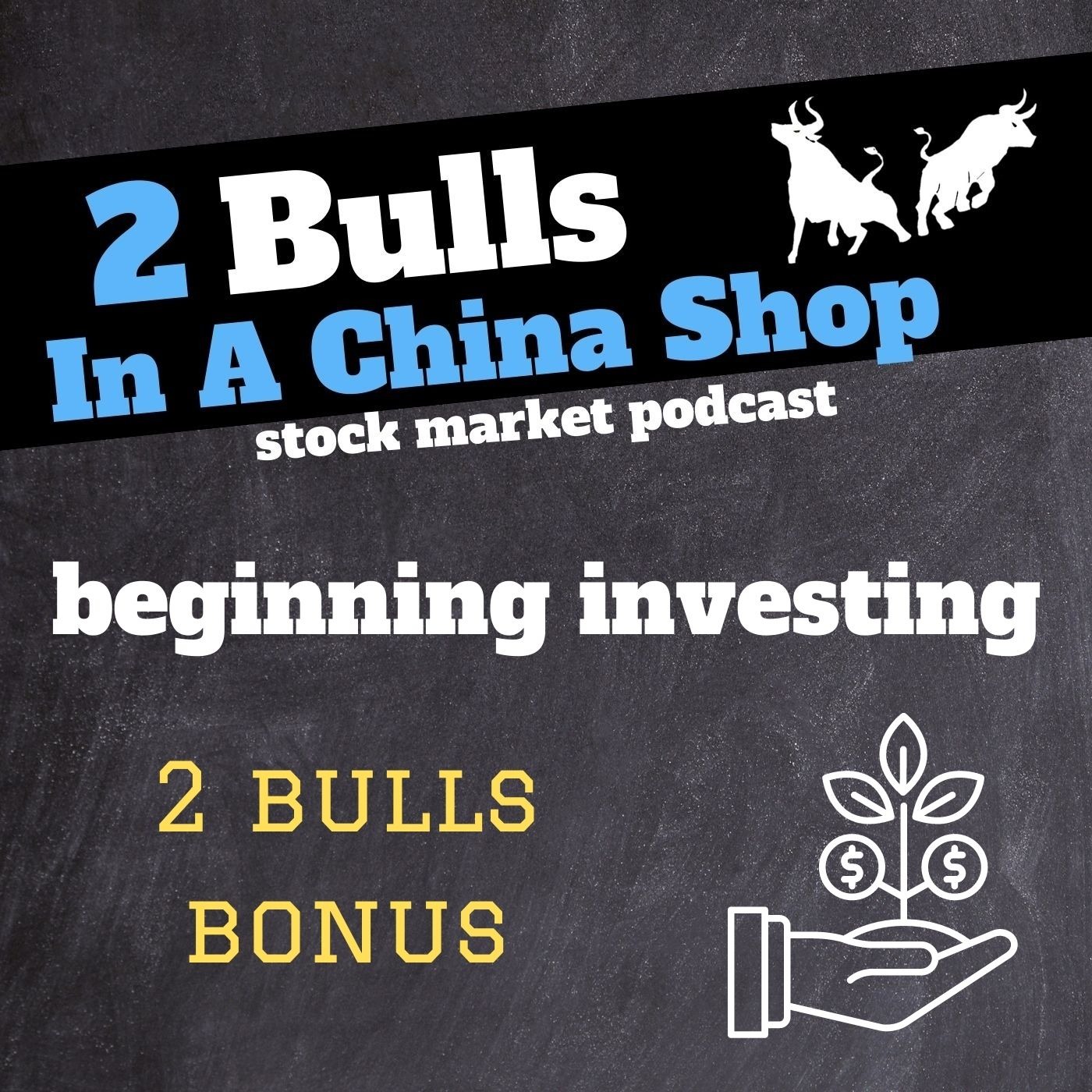 Bonus Episode: Beginner Trading