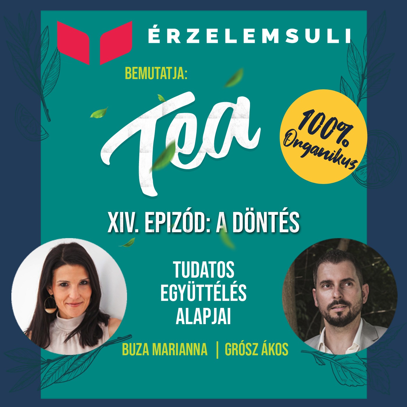 TEA 14.epizód: A döntés episode artwork
