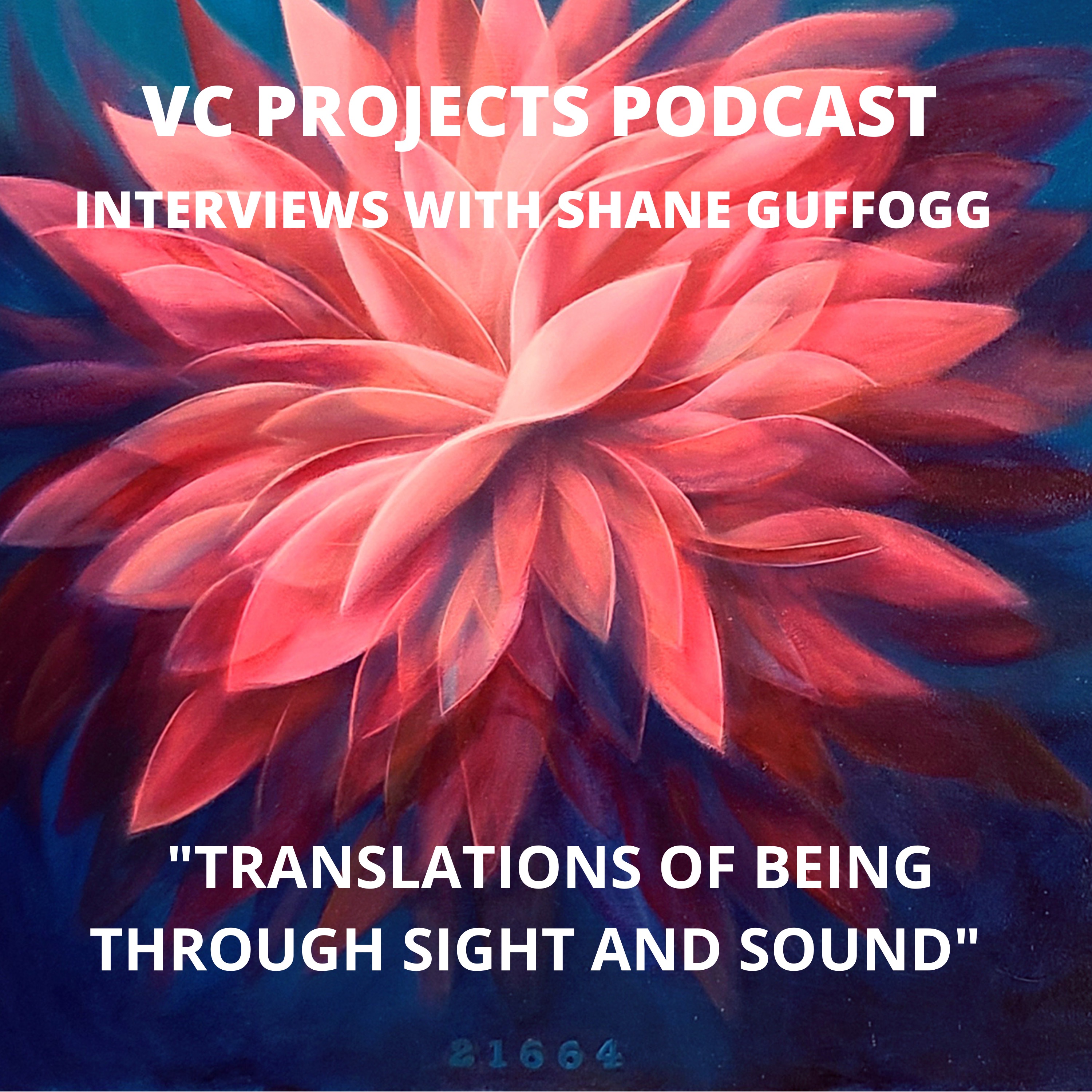 Shane Guffogg: Translations of Being Through Sight and Sound