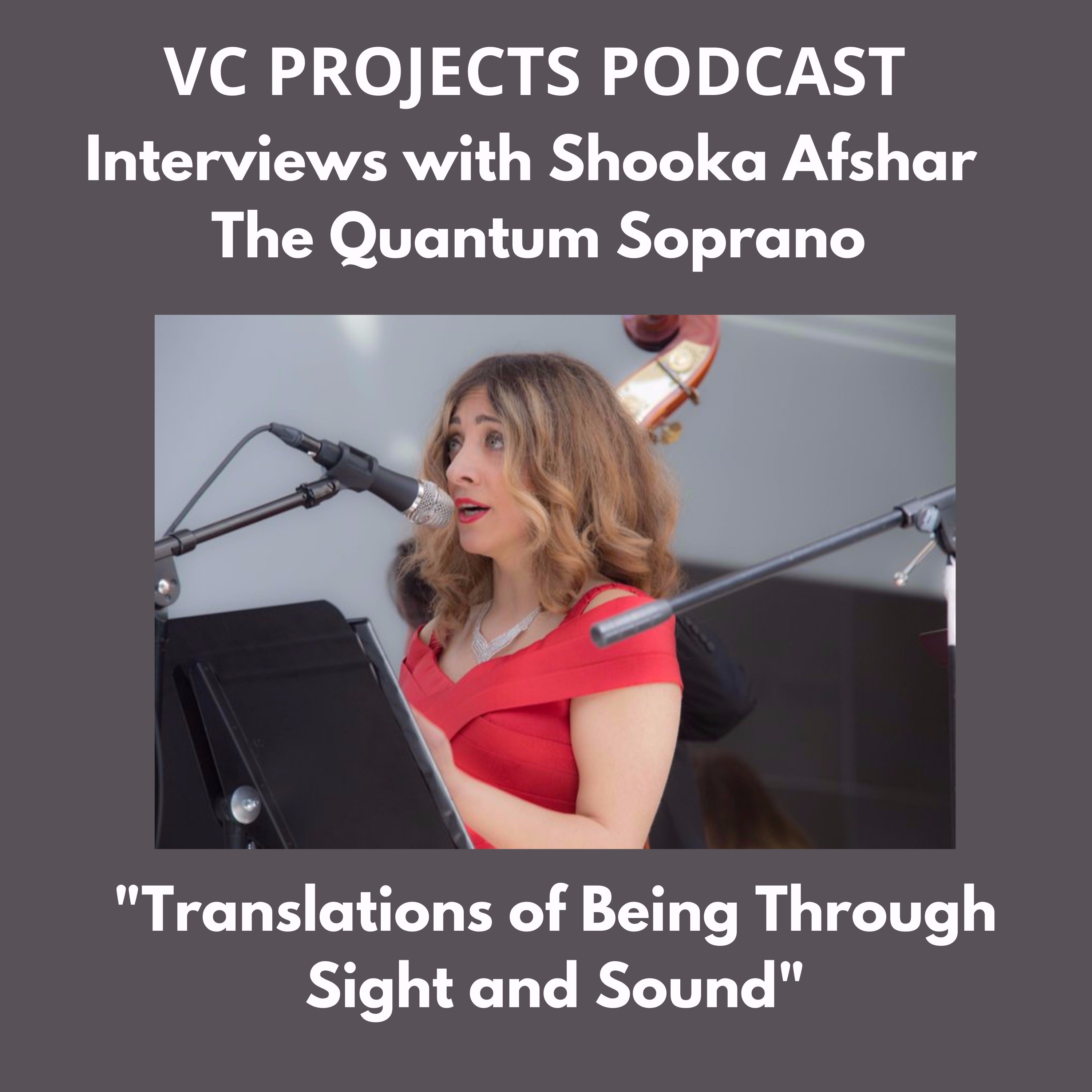 Shooka Afshar: Translations of Being Through Sight and Sound