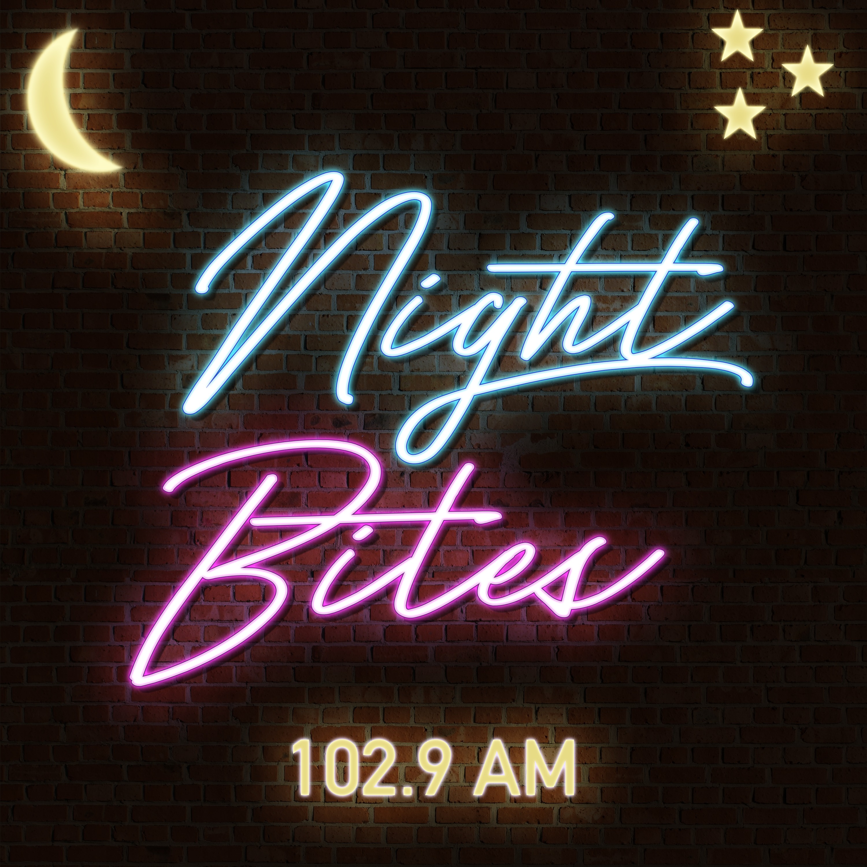 Audio Player Image