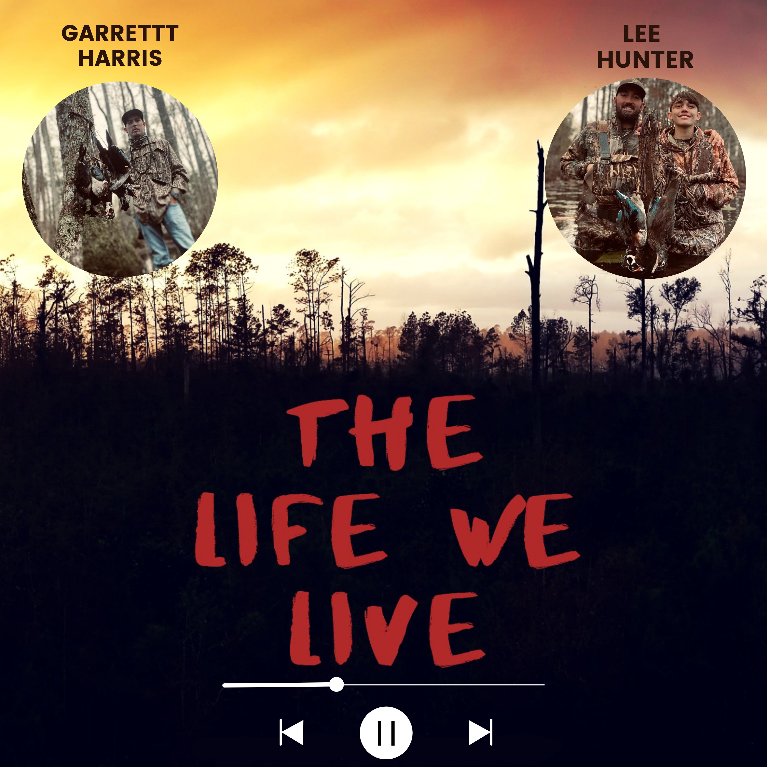 Audio Player Image