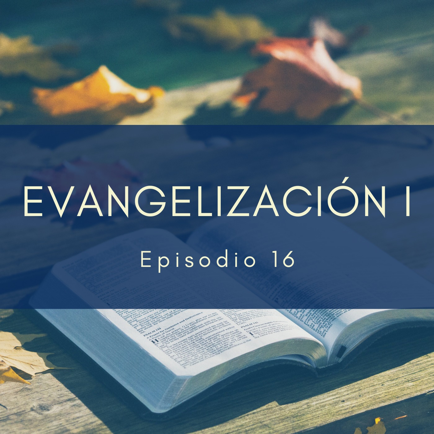Evangelización I