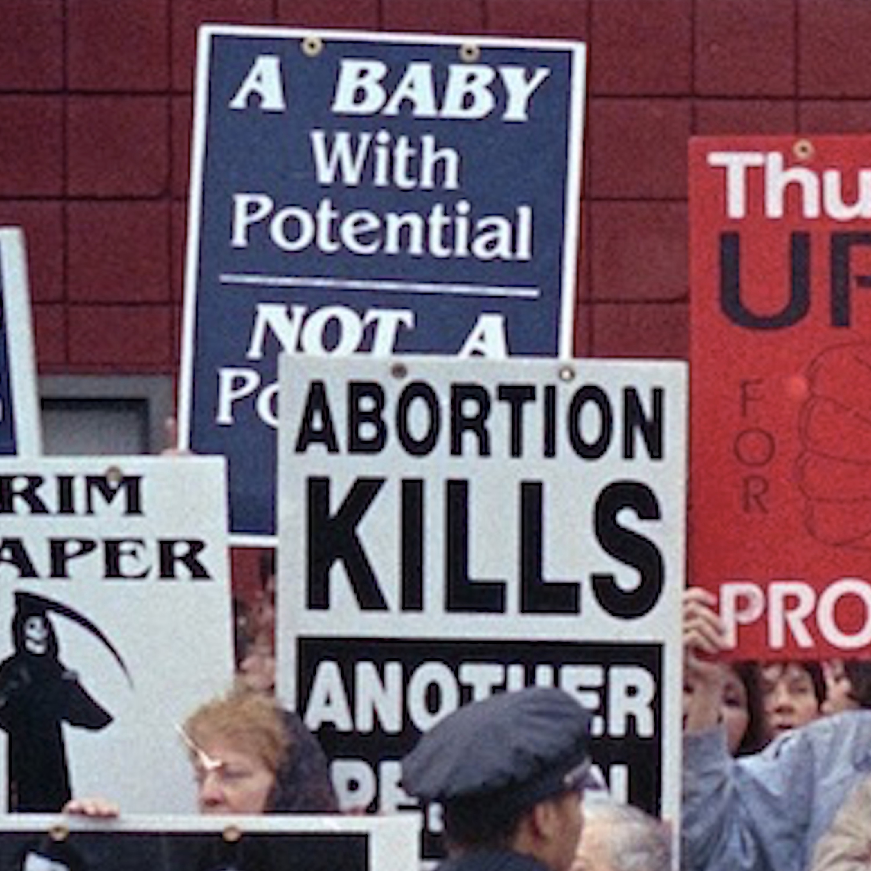 Katha Pollitt: What Abortion Opponents Really Believe episode artwork