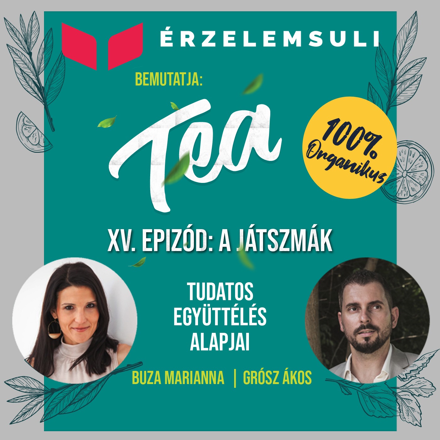 TEA 15. epizód: A játszmák episode artwork