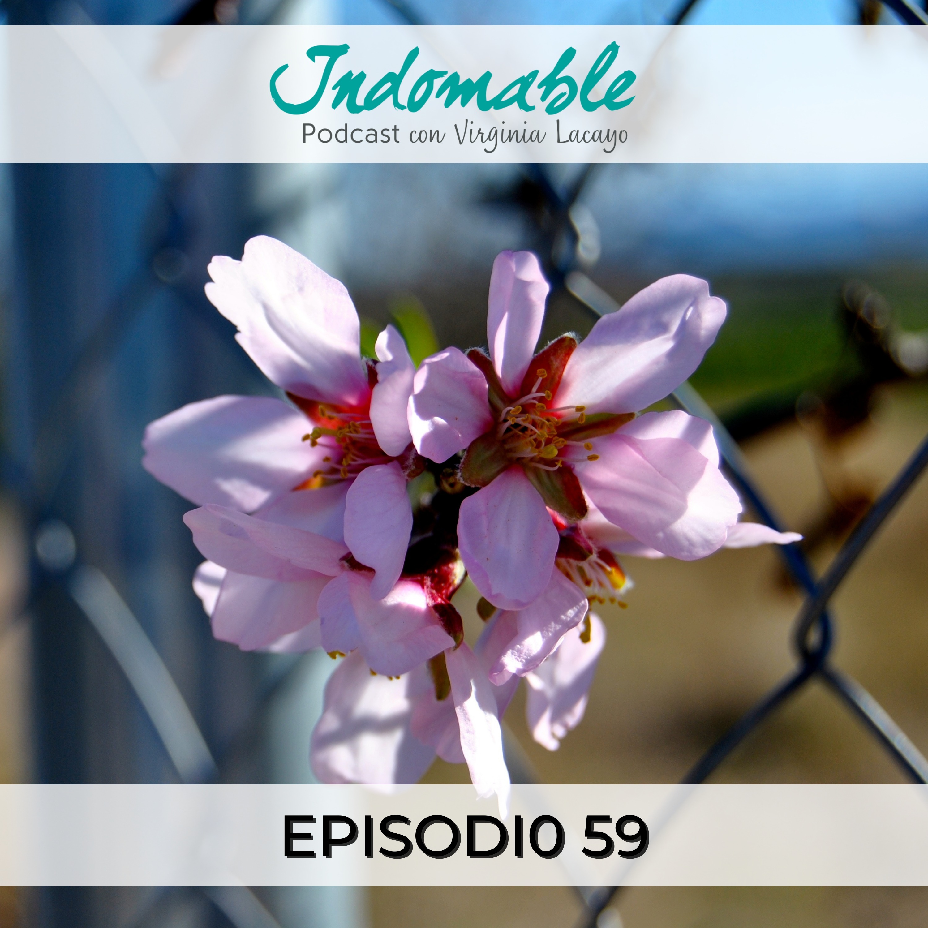 Indomable - Podcast con Virginia Lacayo