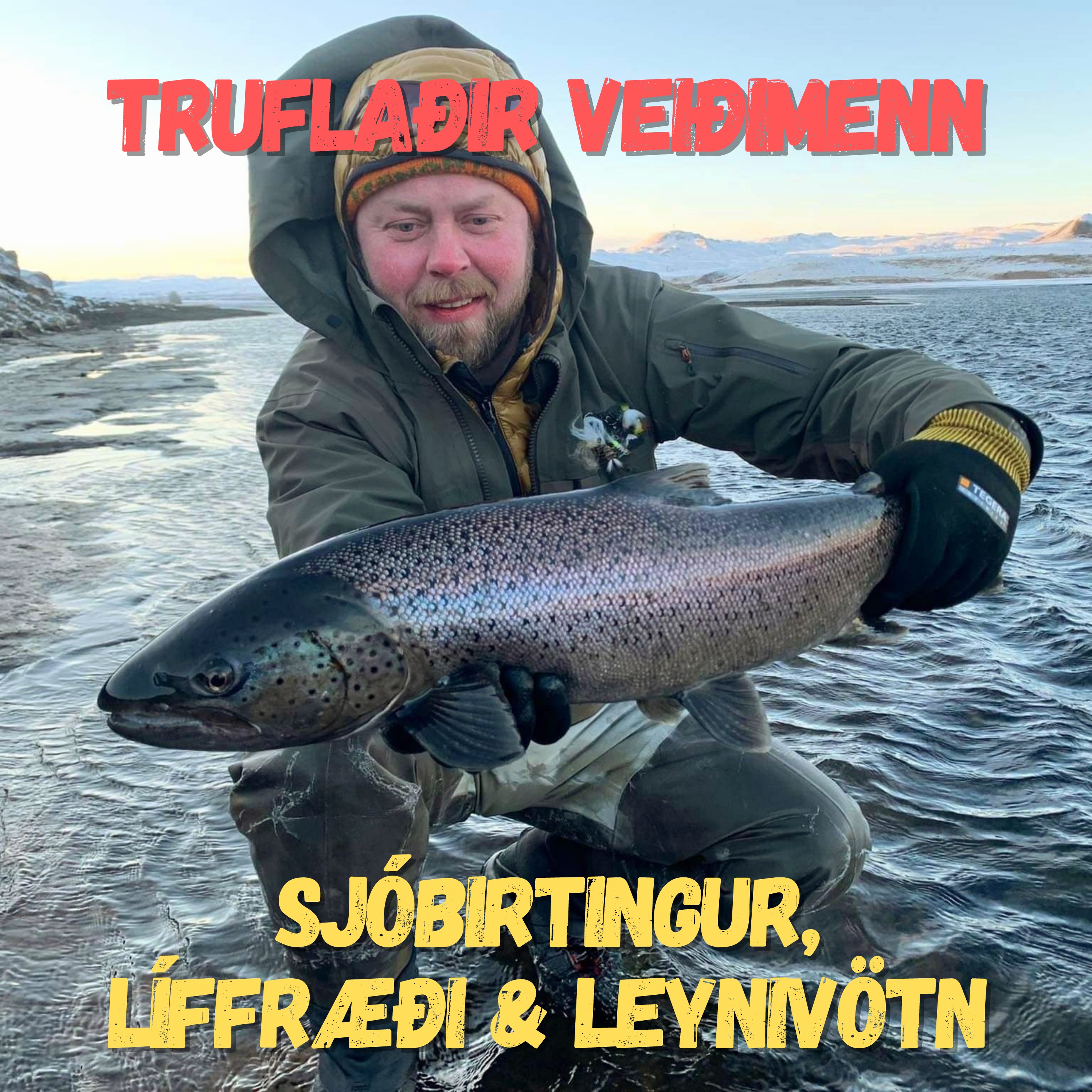 Dagbók urriða - Truflaðir veiðimenn - Áskrift.