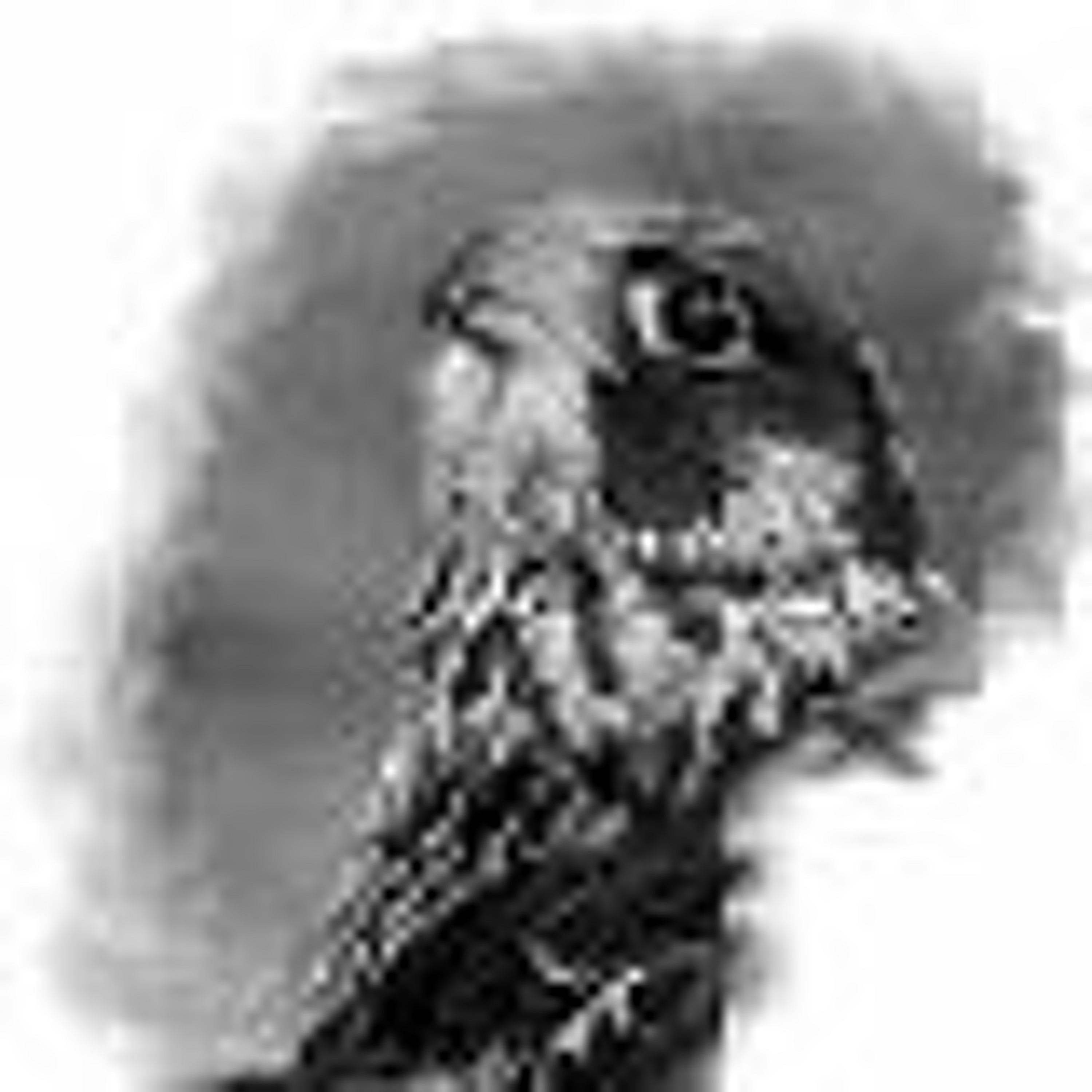 American Indian Airwaves