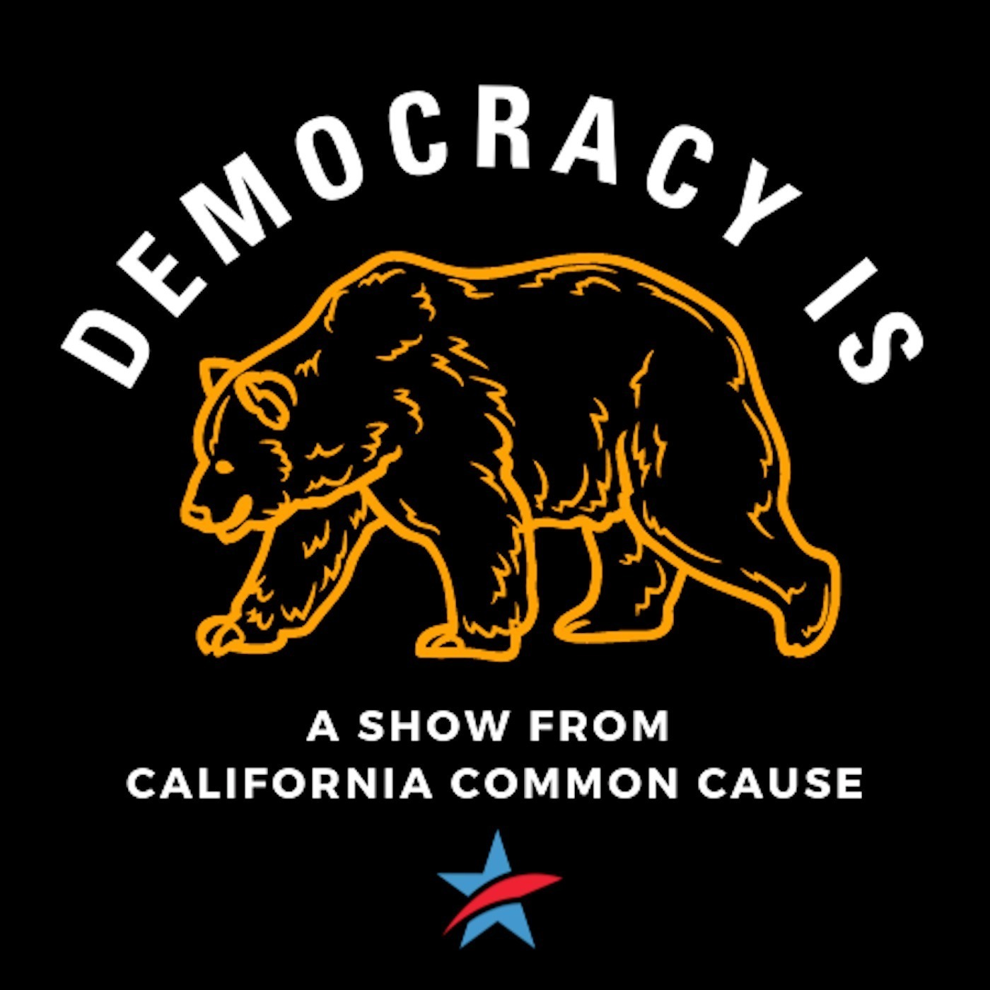 Democracy Is podcast show image