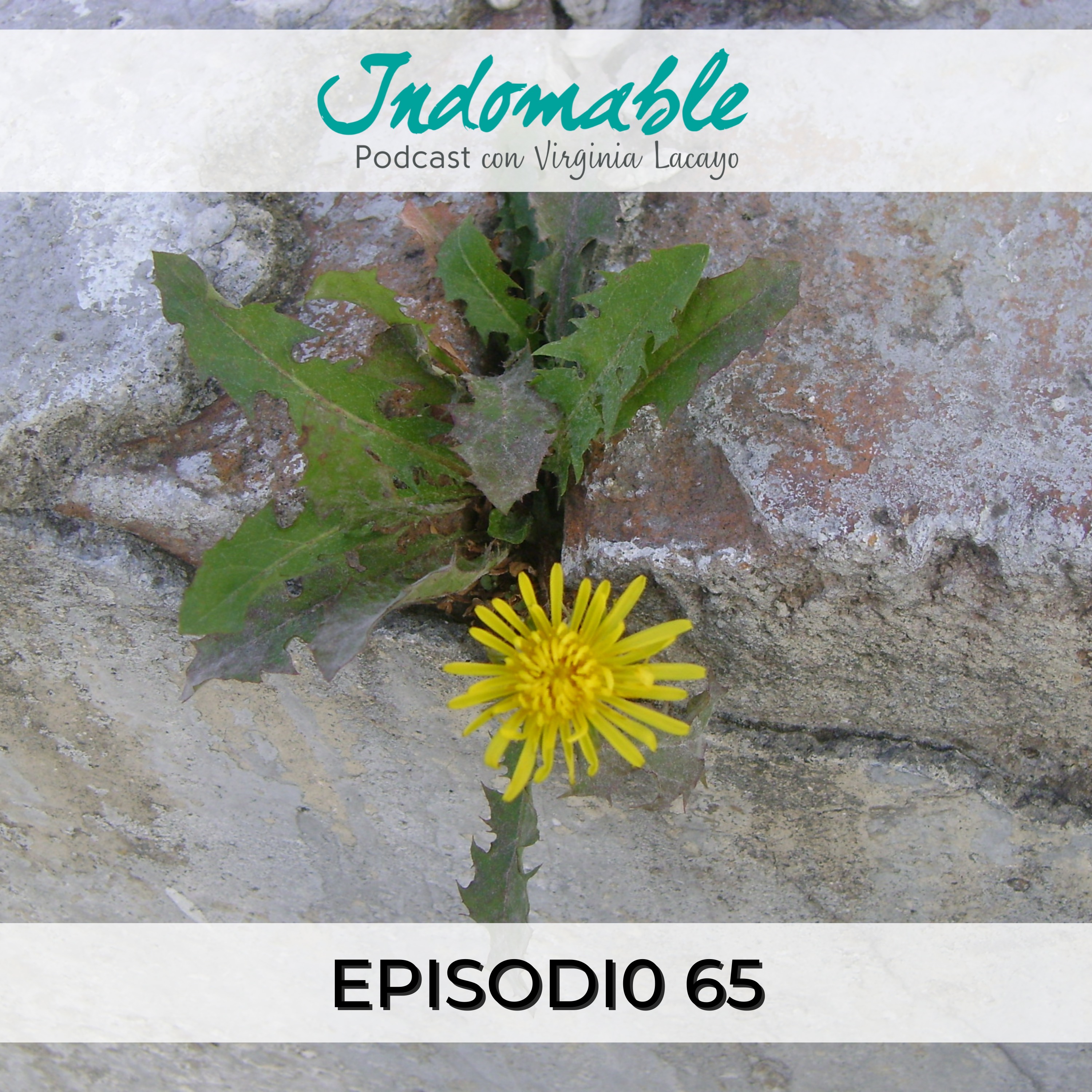 Indomable - Podcast con Virginia Lacayo