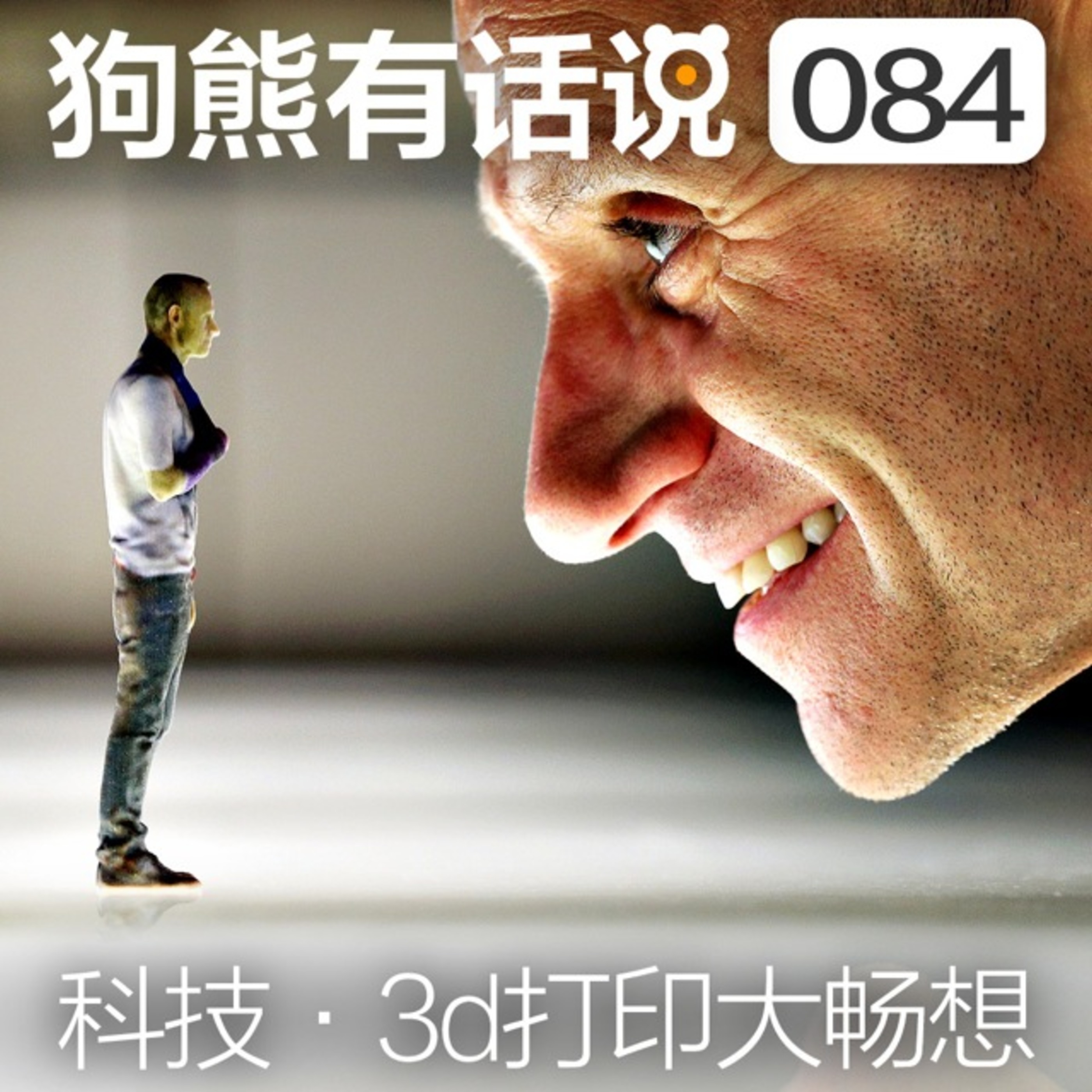 cover of episode 084期：科技·3D打印大畅想