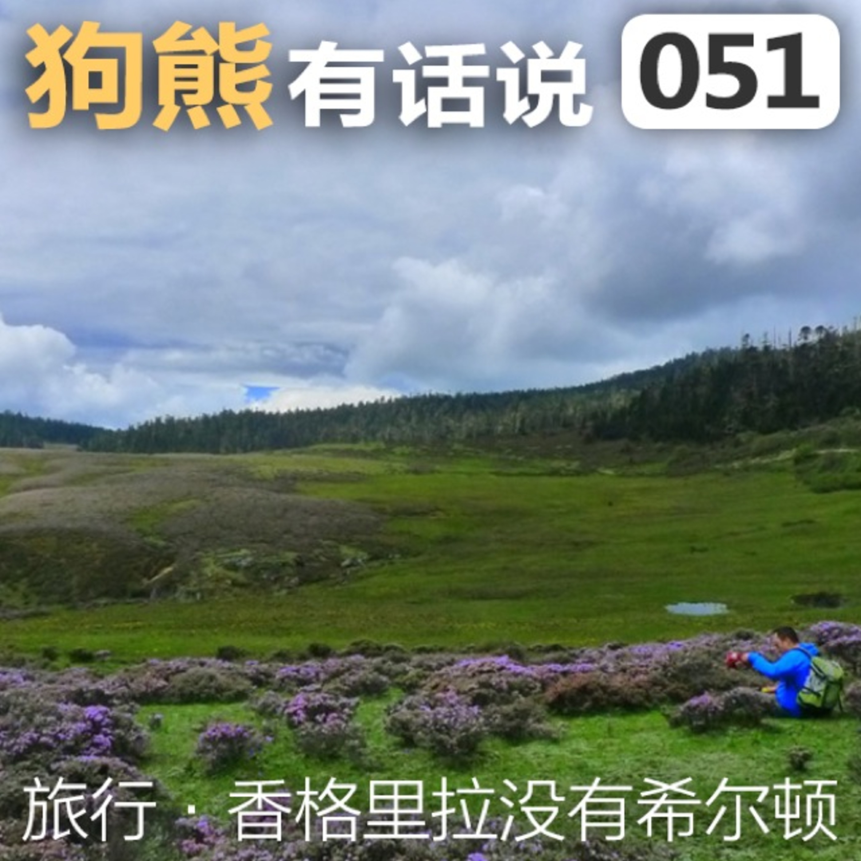 cover of episode 051期：旅行·香格里拉没有希尔顿