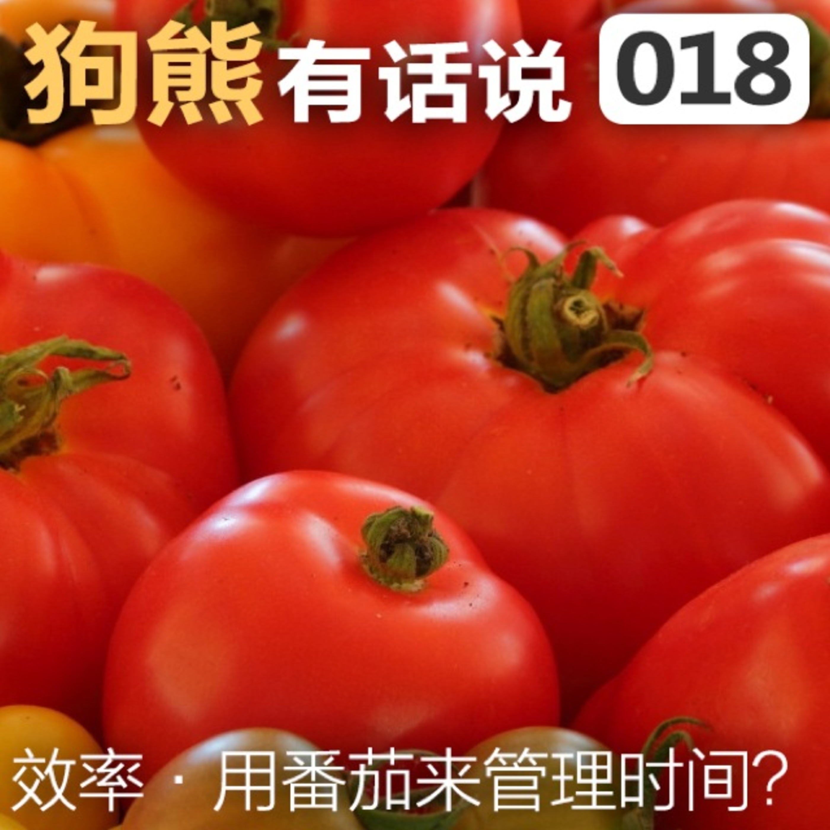 cover of episode 018期：用番茄来管理时间？