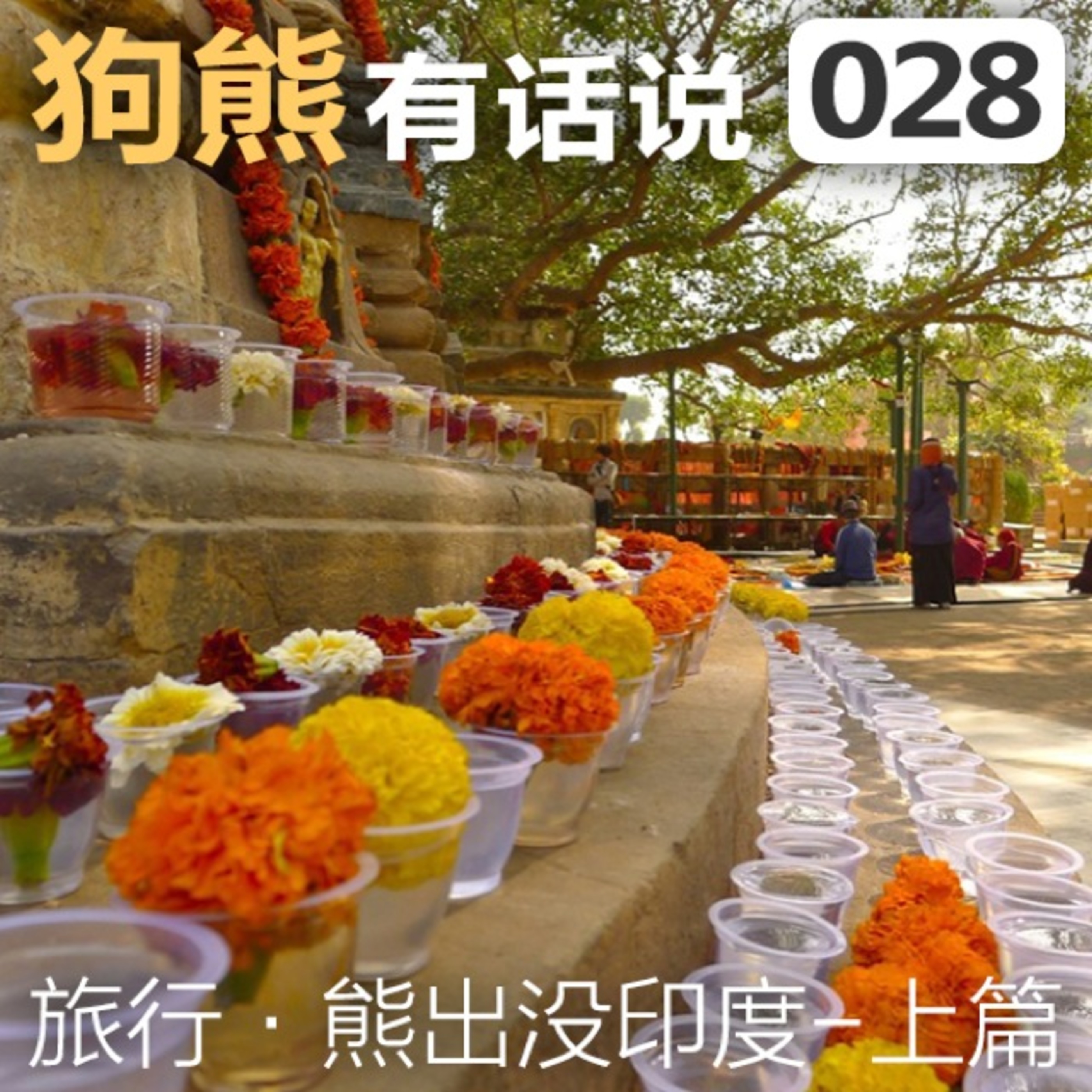 cover of episode 028期：熊出没印度·上篇
