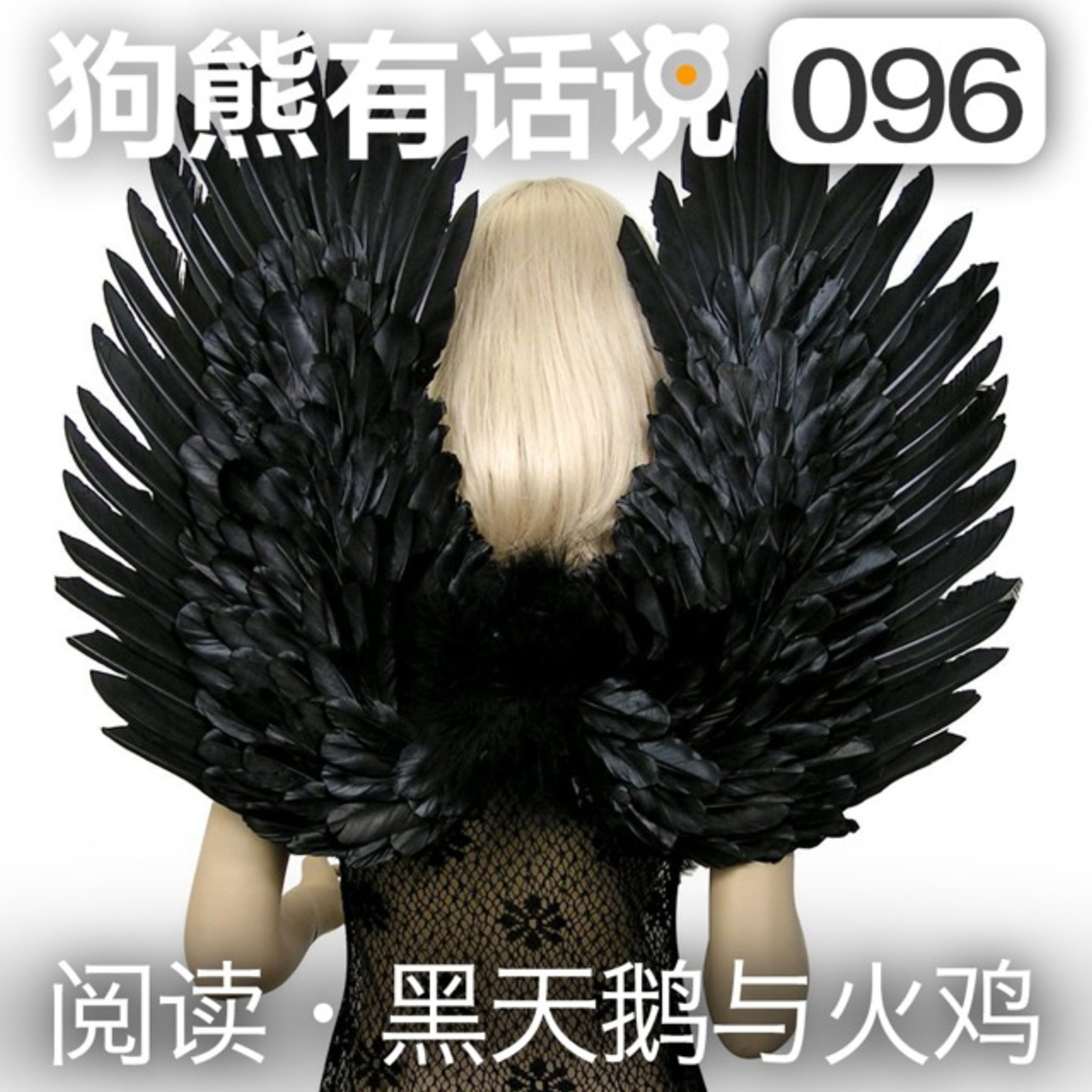 cover of episode 096期：阅读·黑天鹅与火鸡