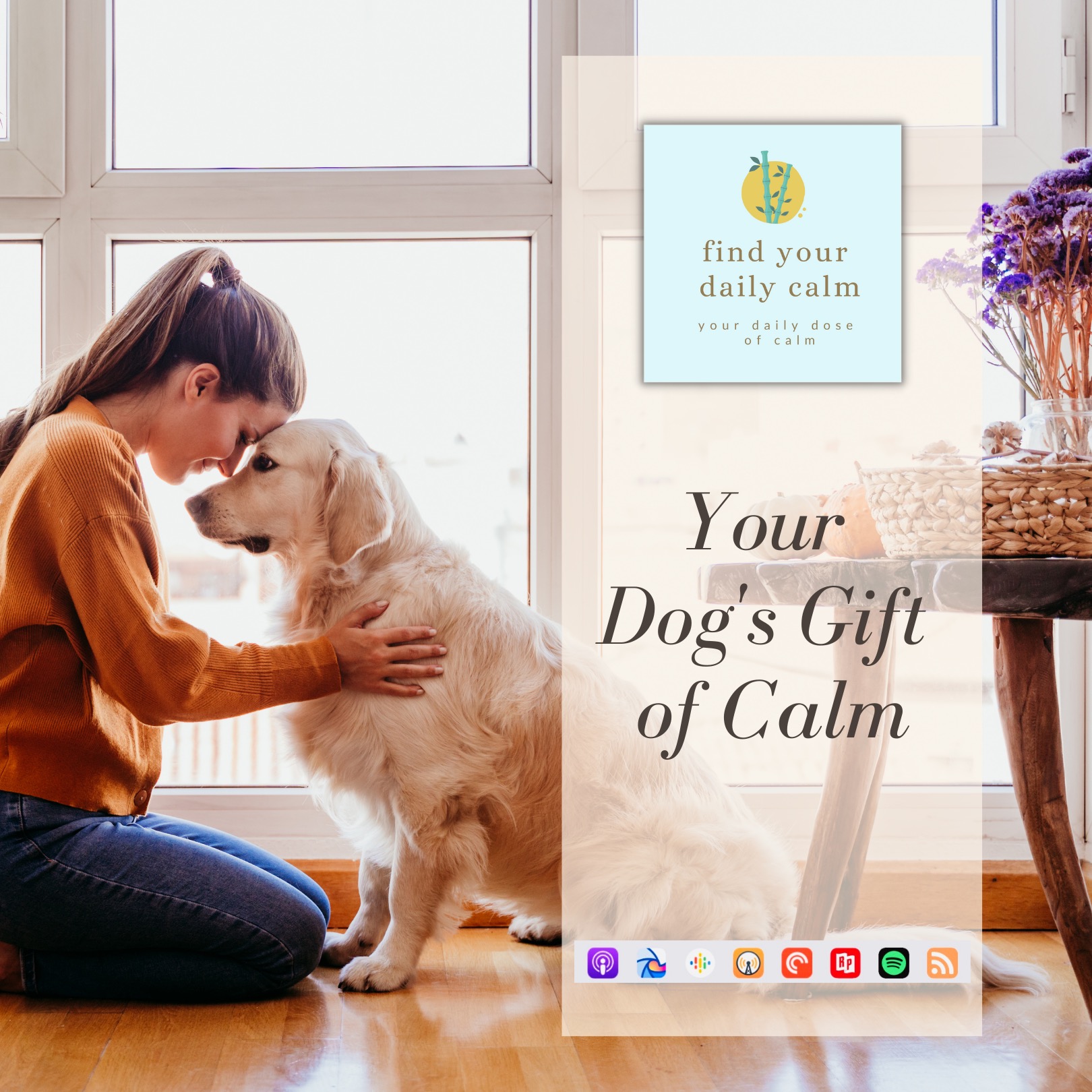 Your Dog's Gift Of Calm