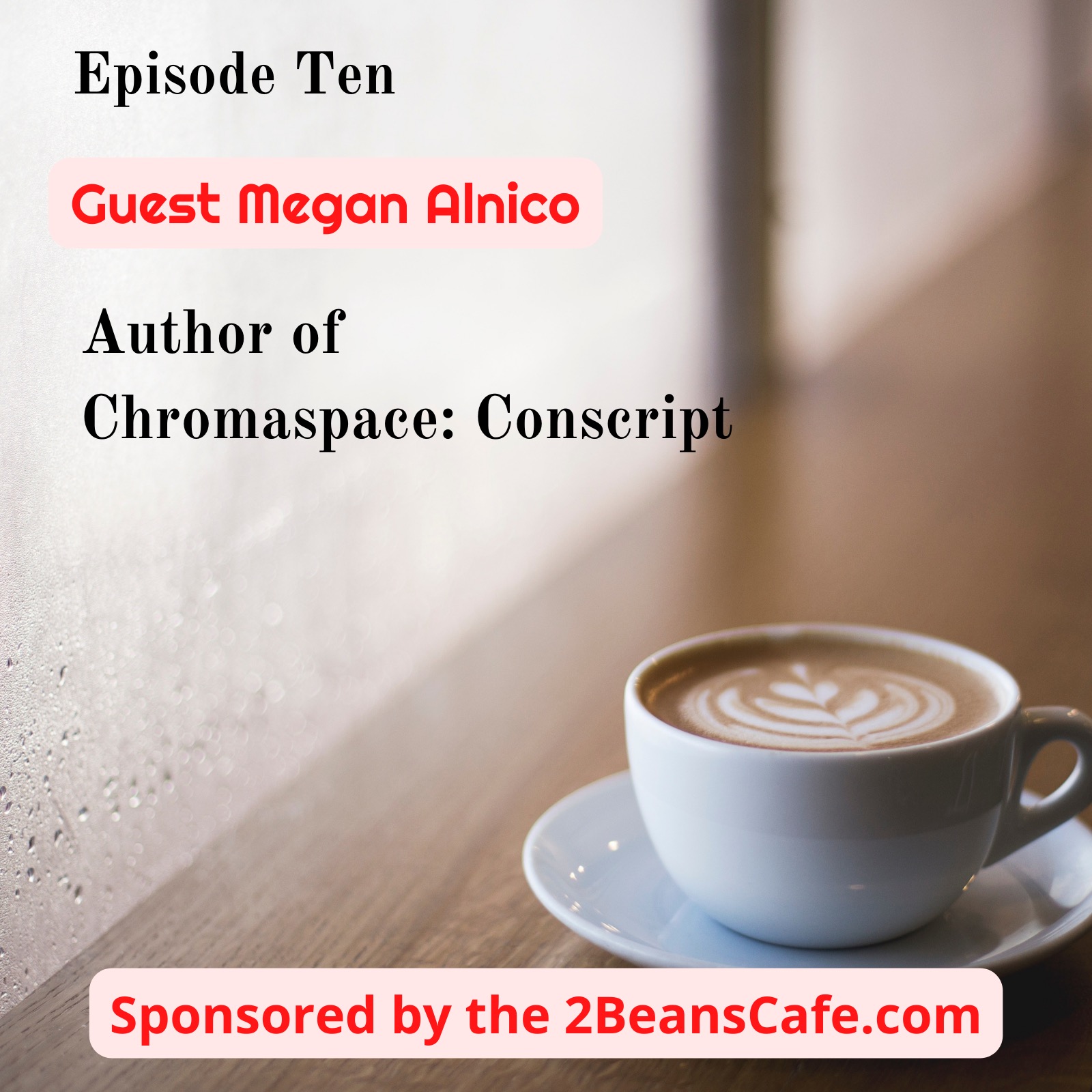 the Emerging Writers Series podcast