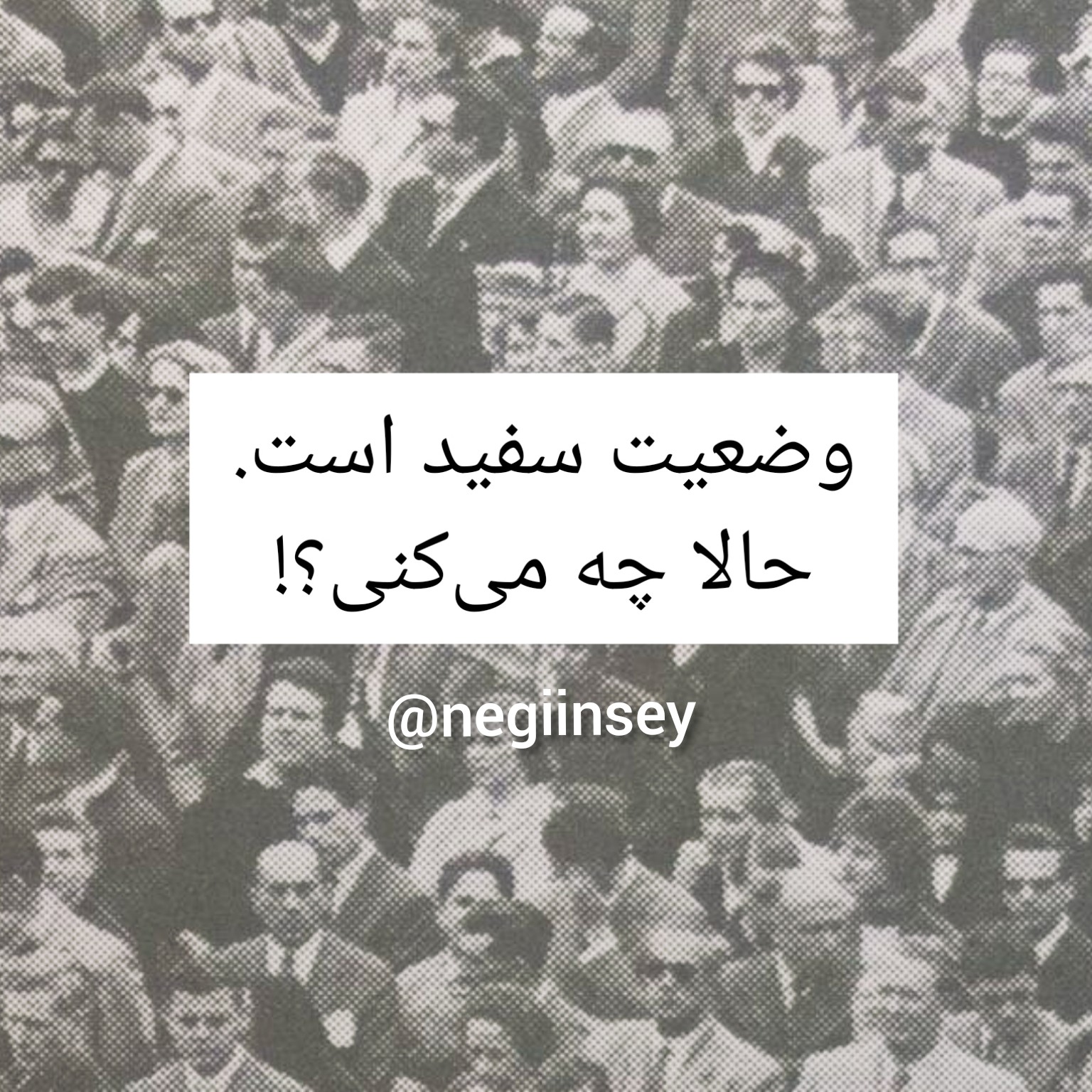 کاور وضعیت سفید