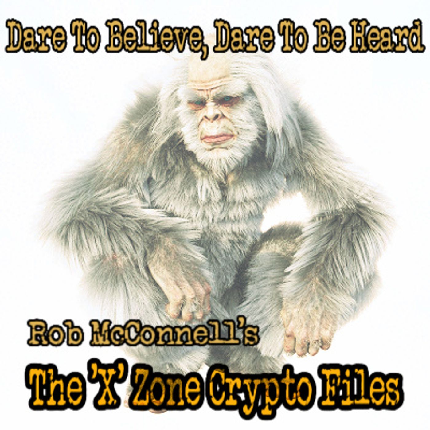 The \'X\' Zone Crypto Files