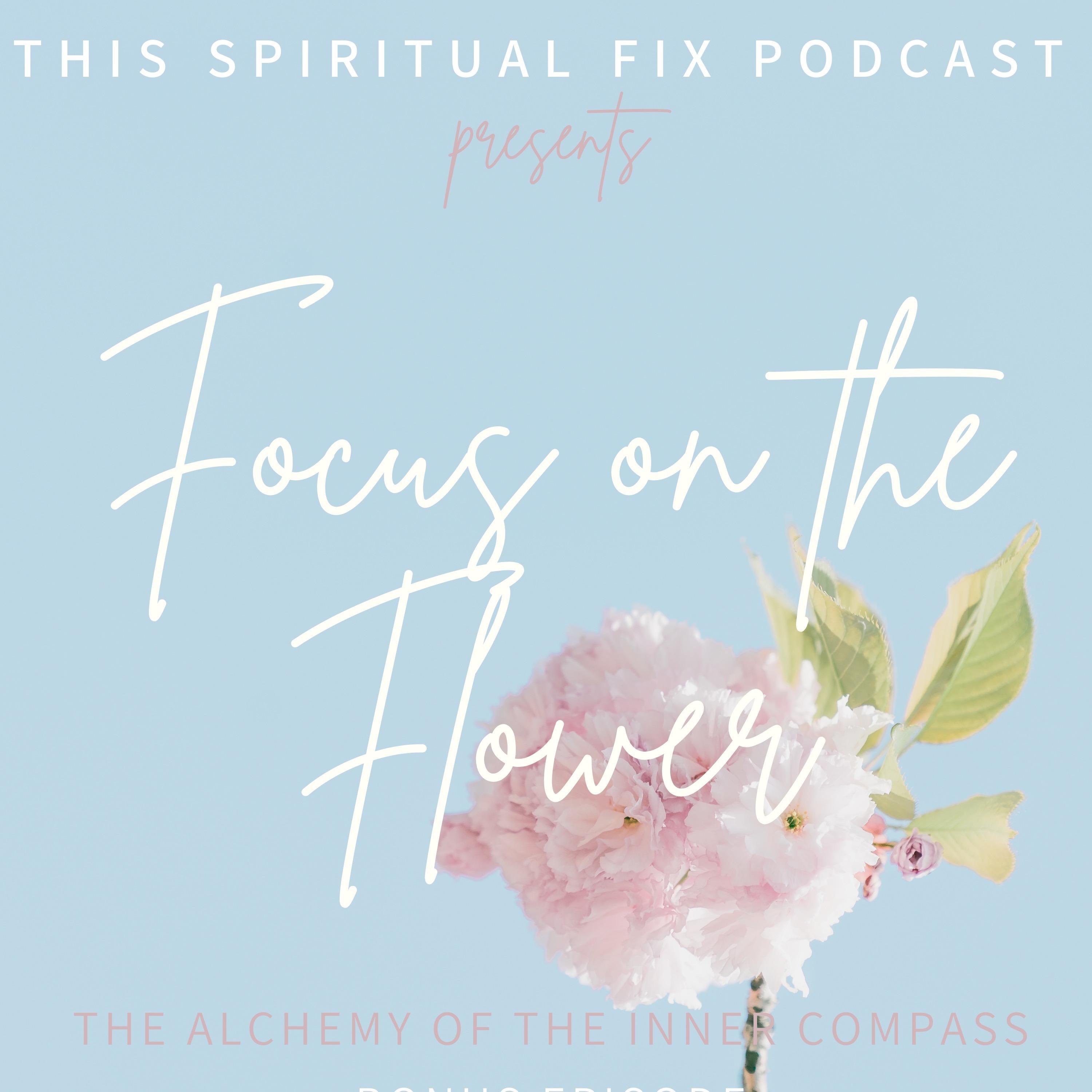 Bonus #13: Focus on the Flower - The Alchemy of the Inner Compass