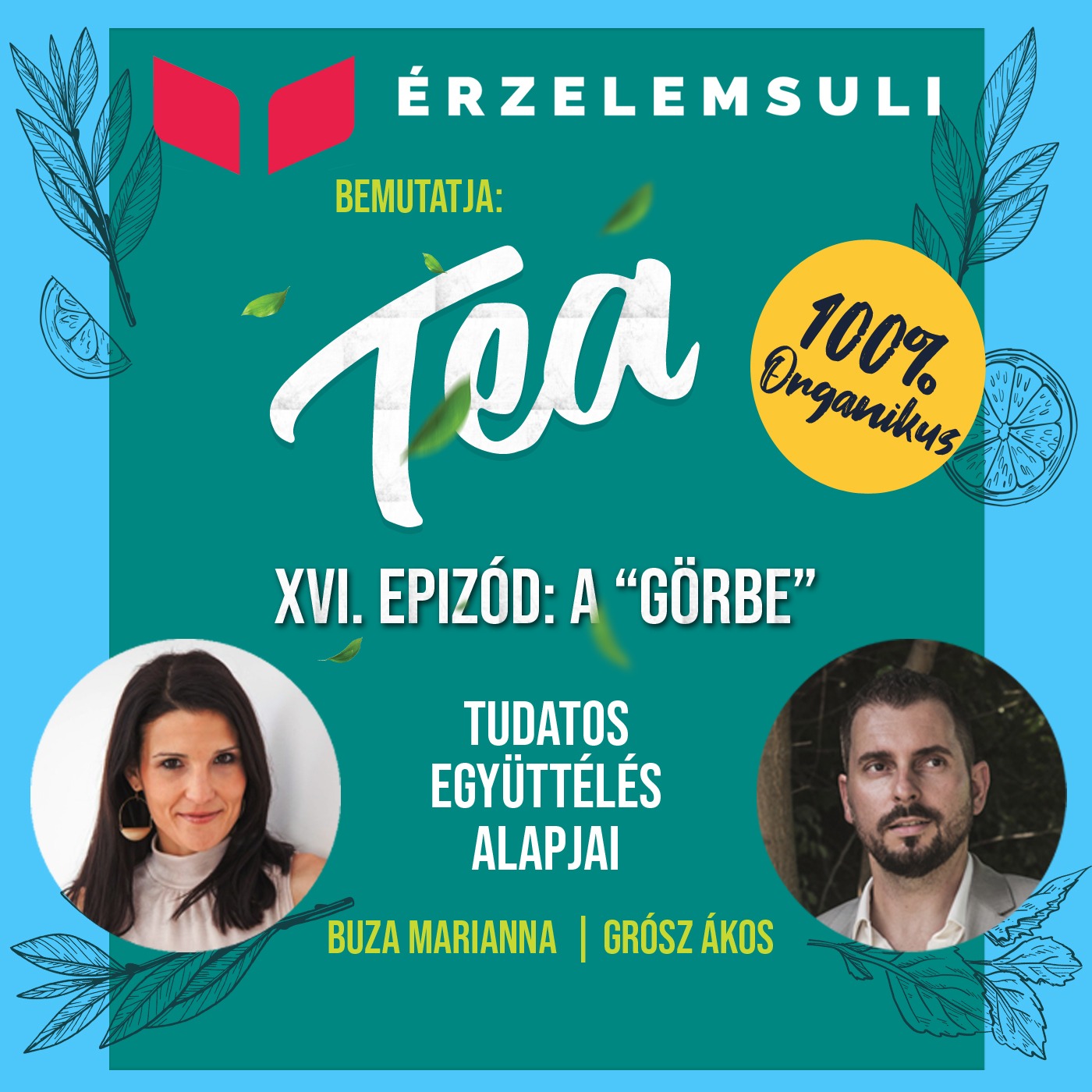 TEA 16. epizód: A görbe episode artwork