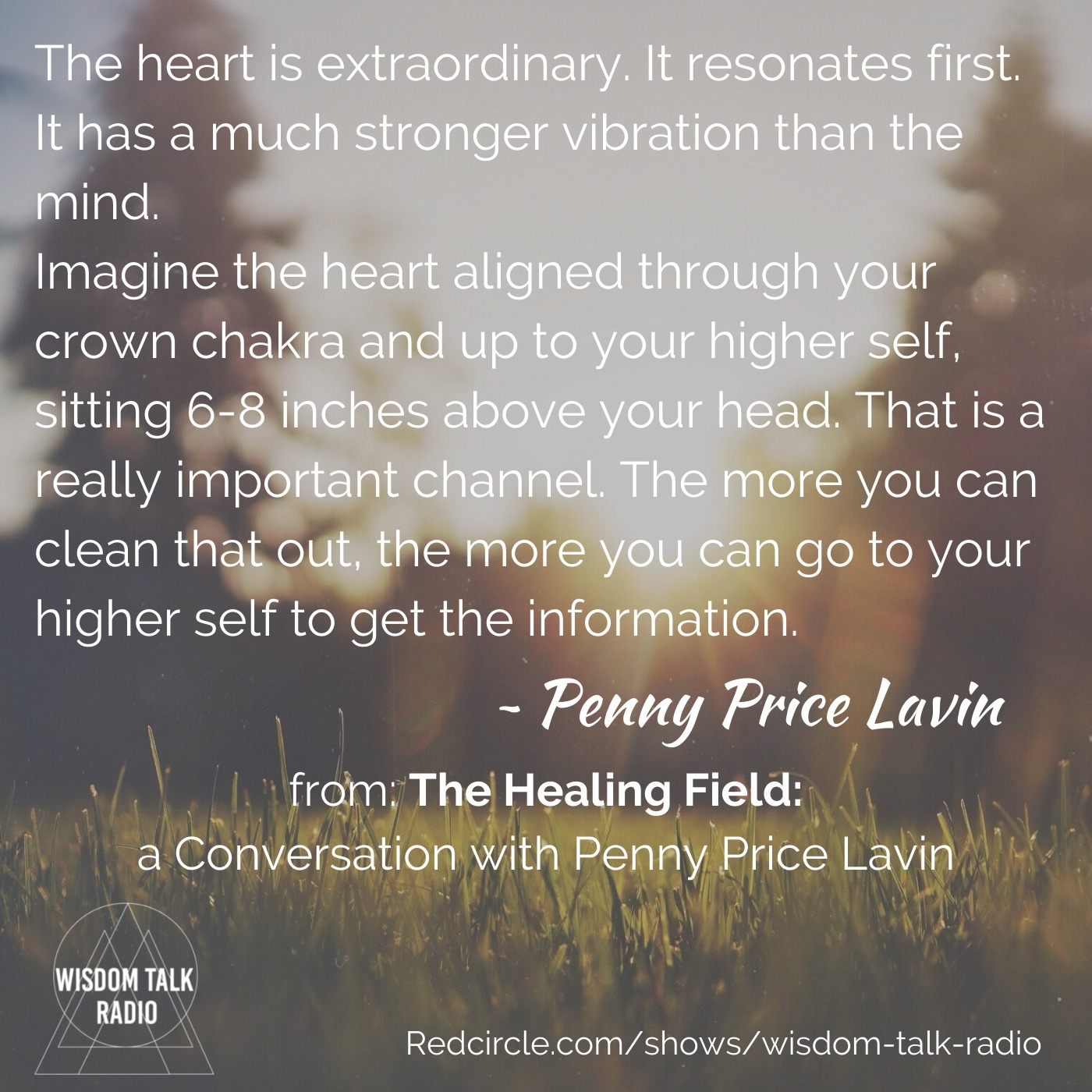 The Healing Field: a conversation with Penny Price Lavin