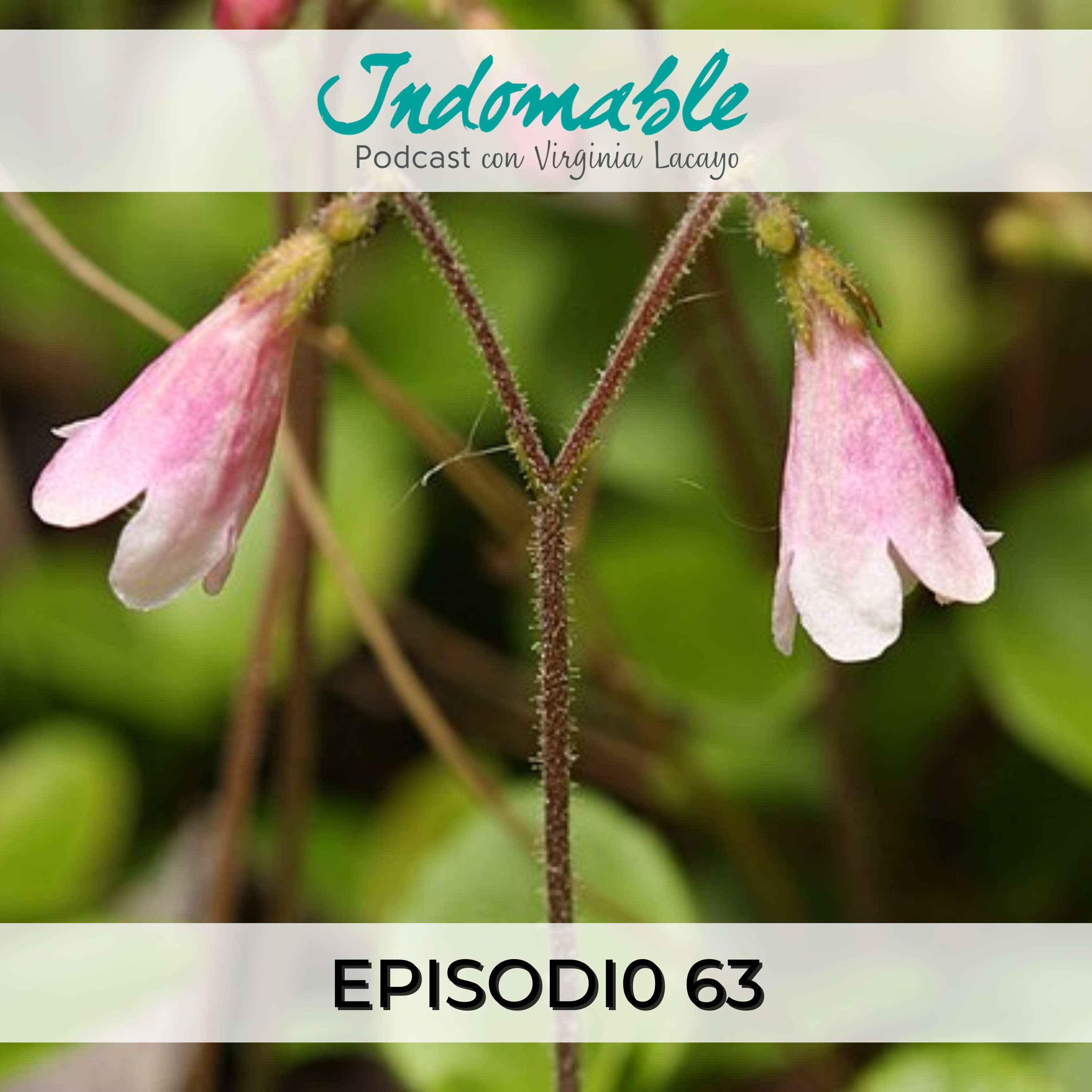 Indomable - Podcast con Virginia Lacayo
