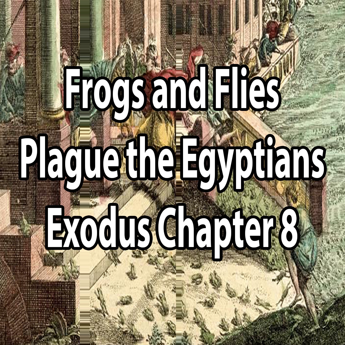 Frogs and Flies Plague the Egyptians - Exodus Chapter 8 episode artwork