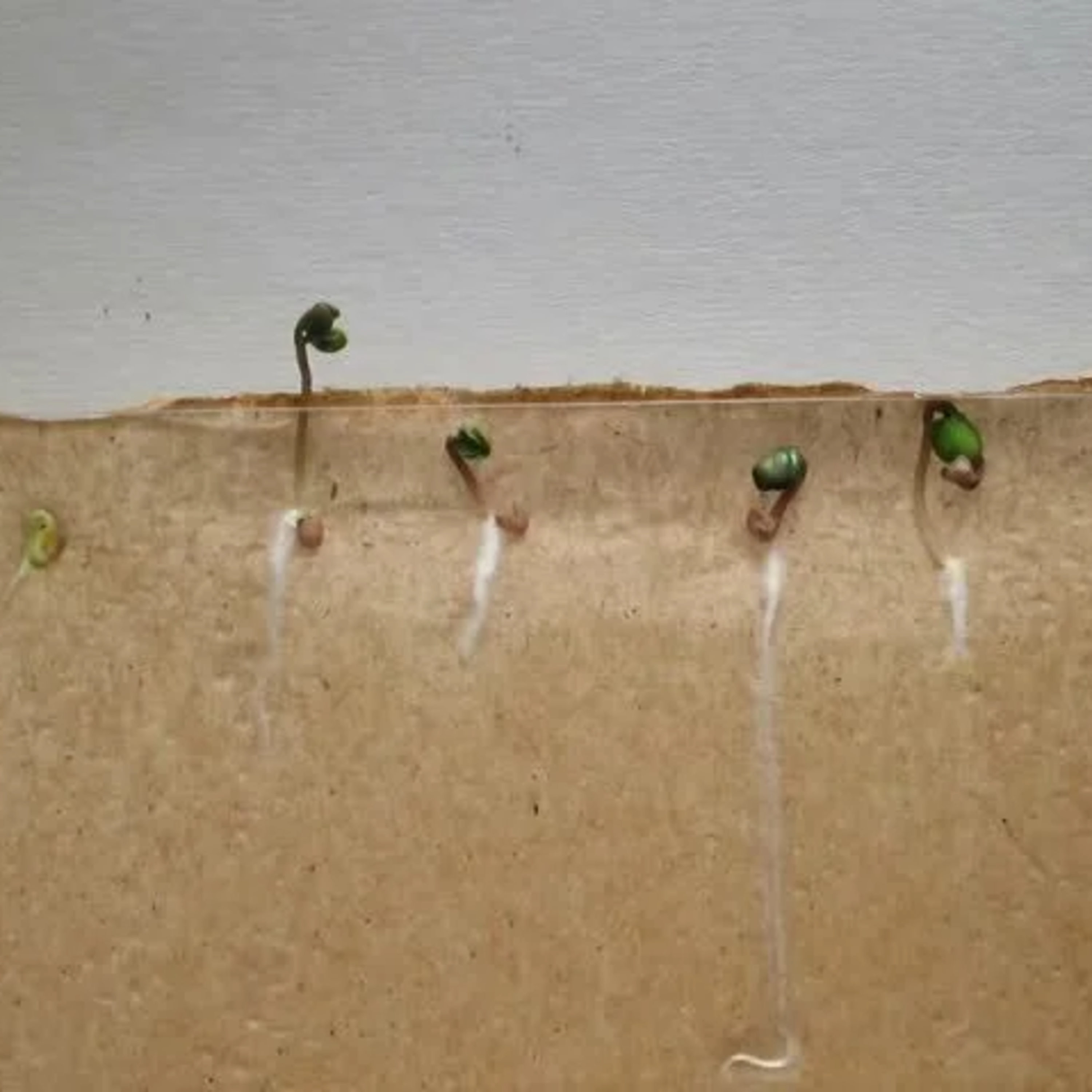 The Art of Storytelling