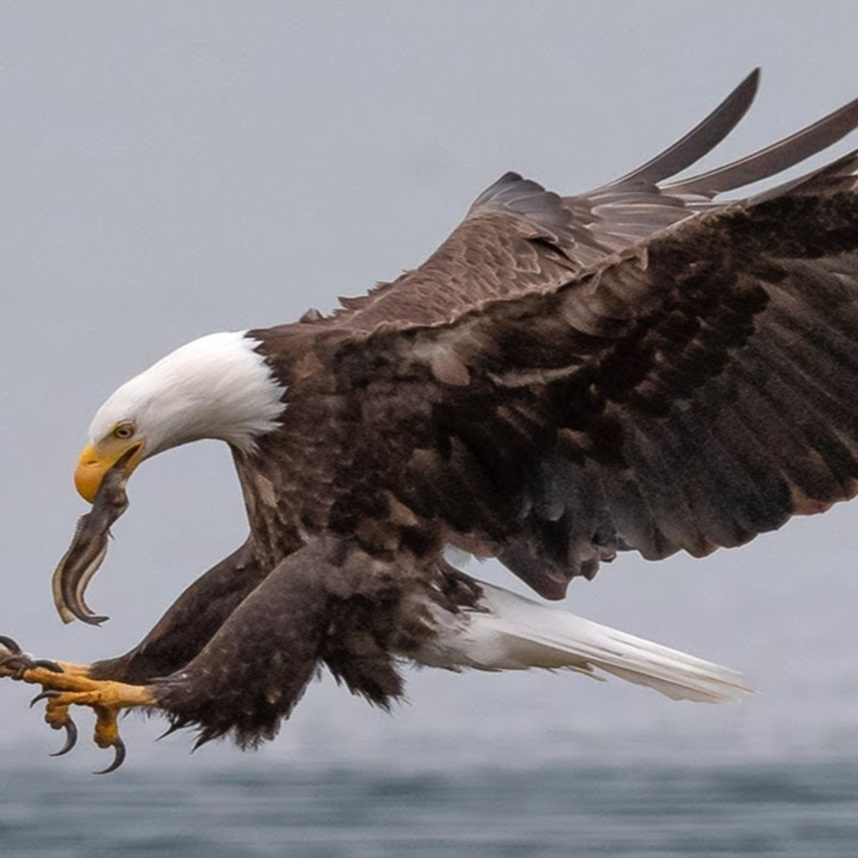 The Art of Storytelling