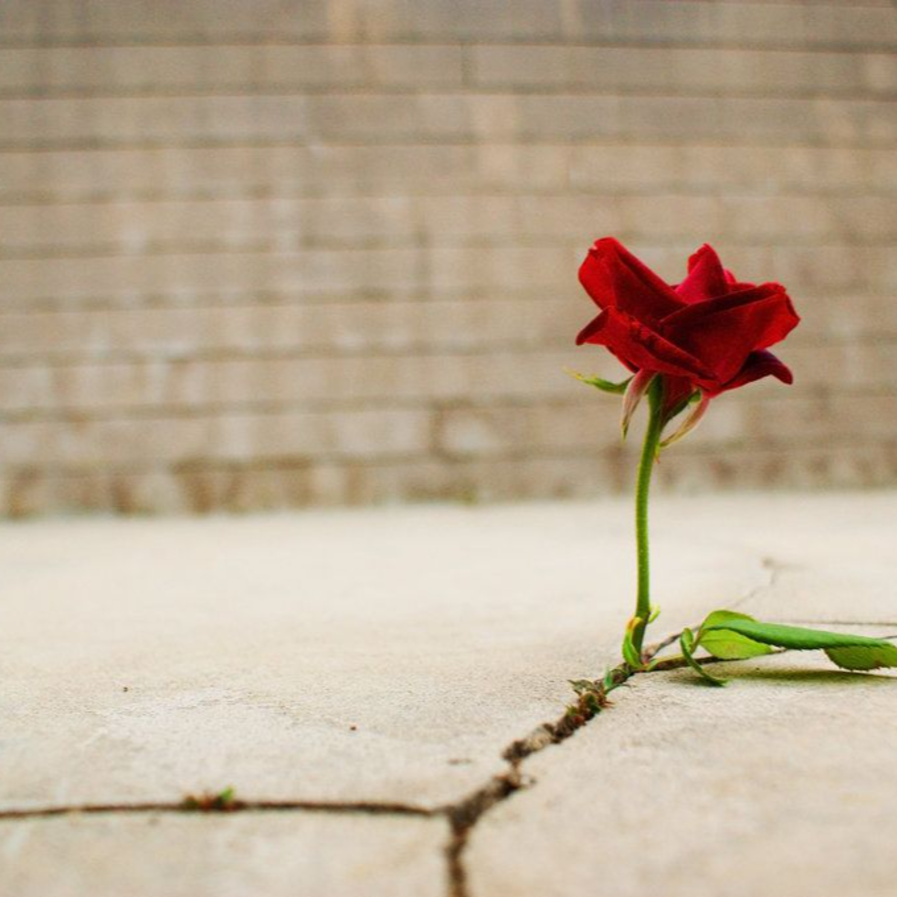 The Art of Storytelling