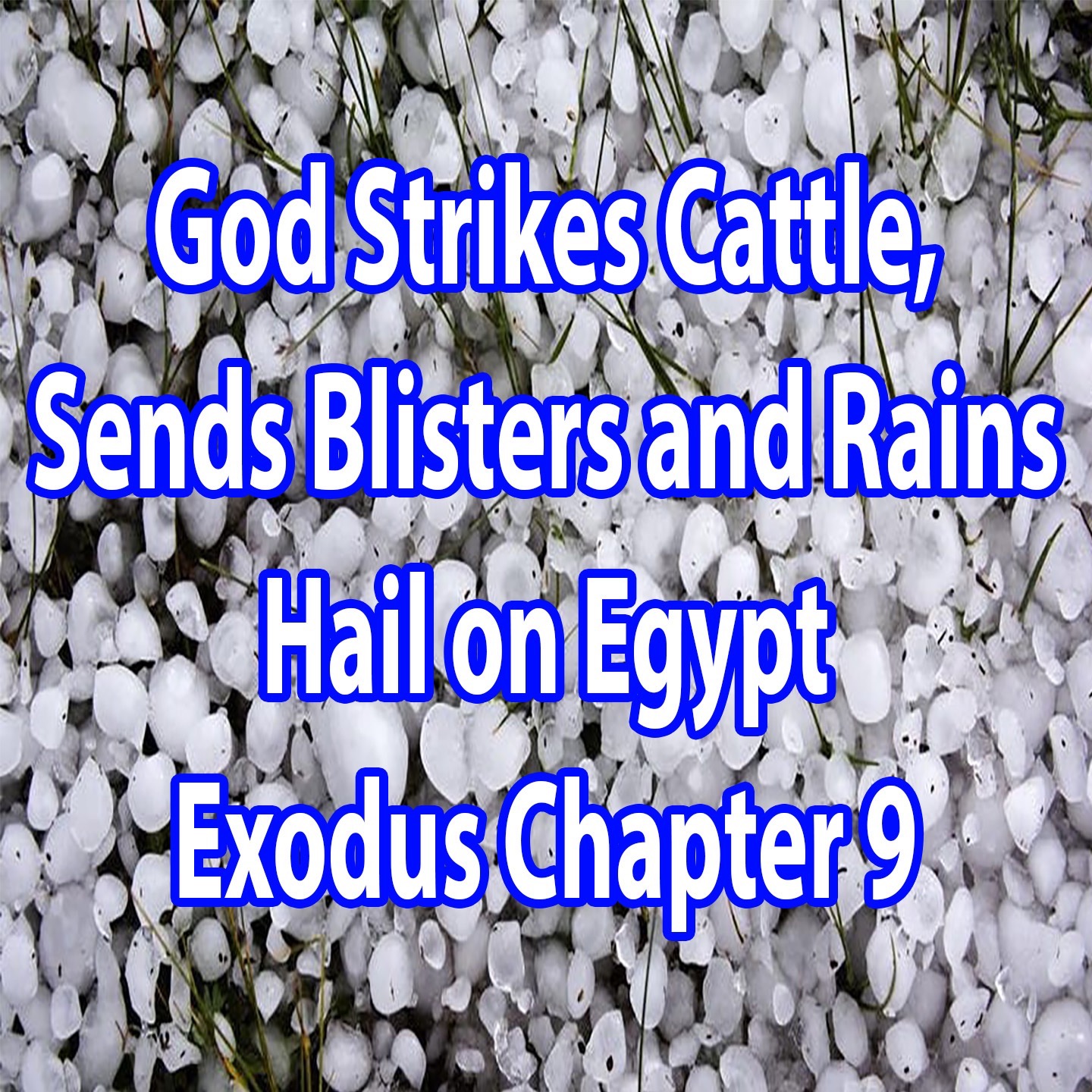 God Strikes Cattle, Sends Blisters and Rains Hail on Egypt - Exodus Chapter 9 episode artwork