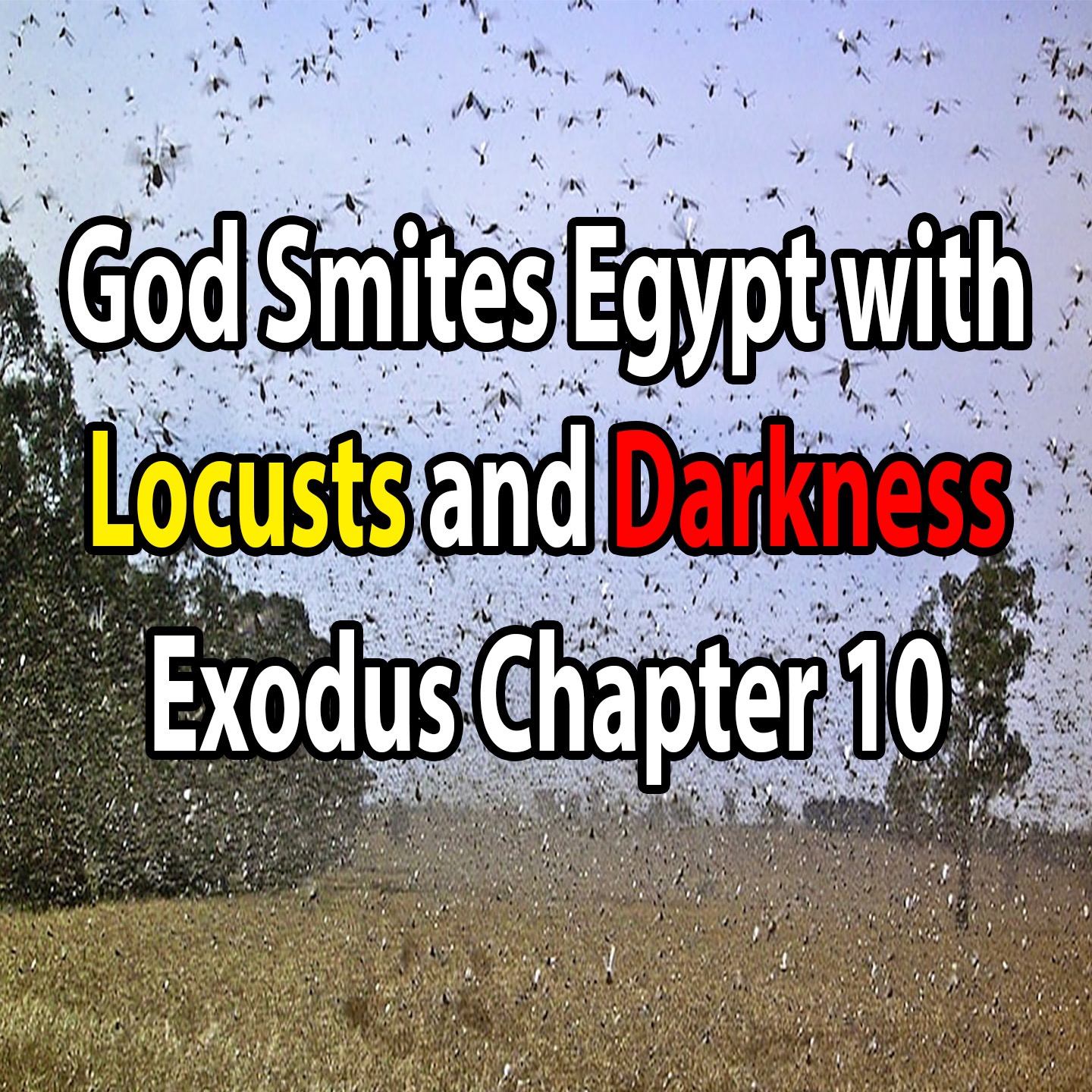 God Smites Egypt with Locusts and Darkness - Exodus Chapter 10 episode artwork