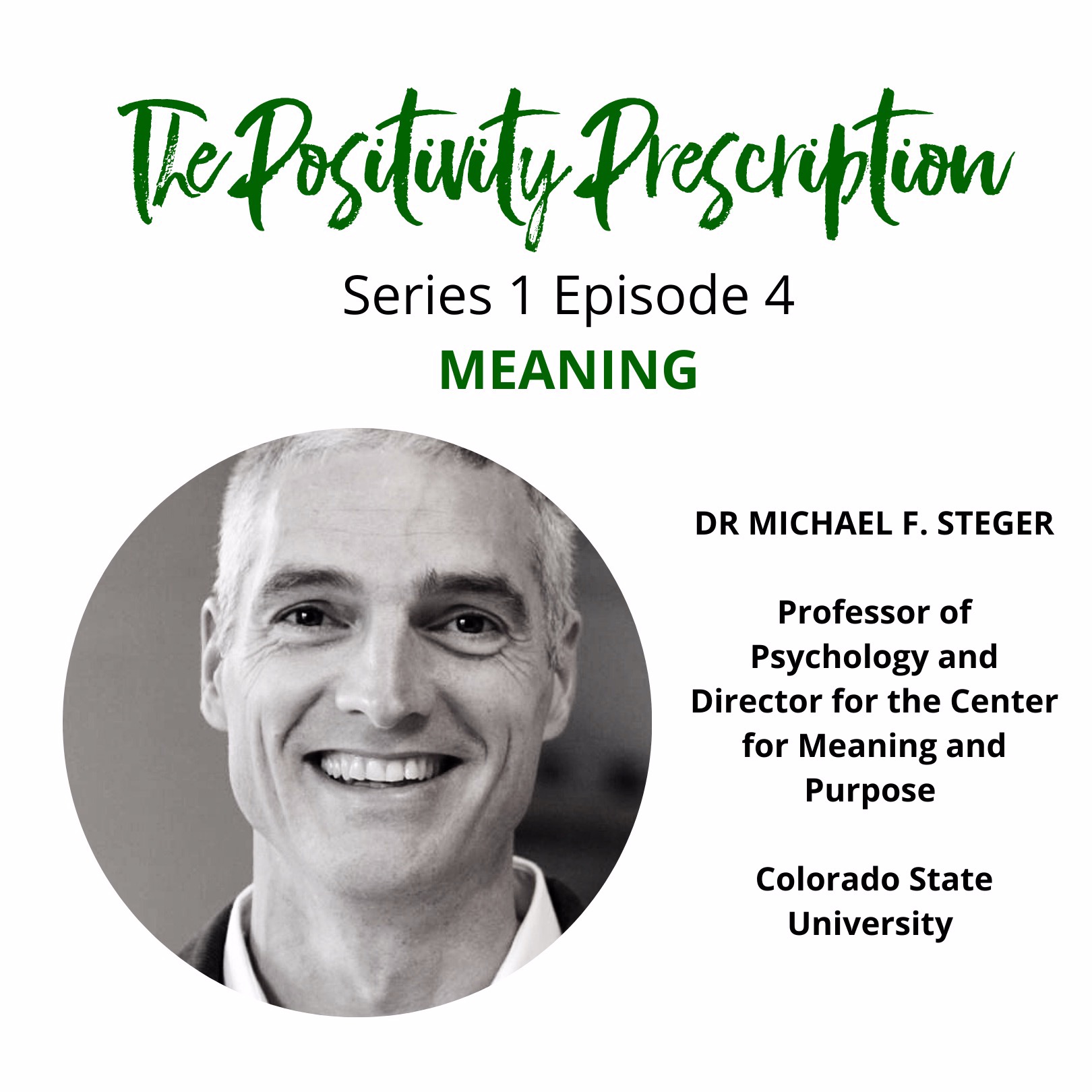 Dr Michael Steger: Meaning