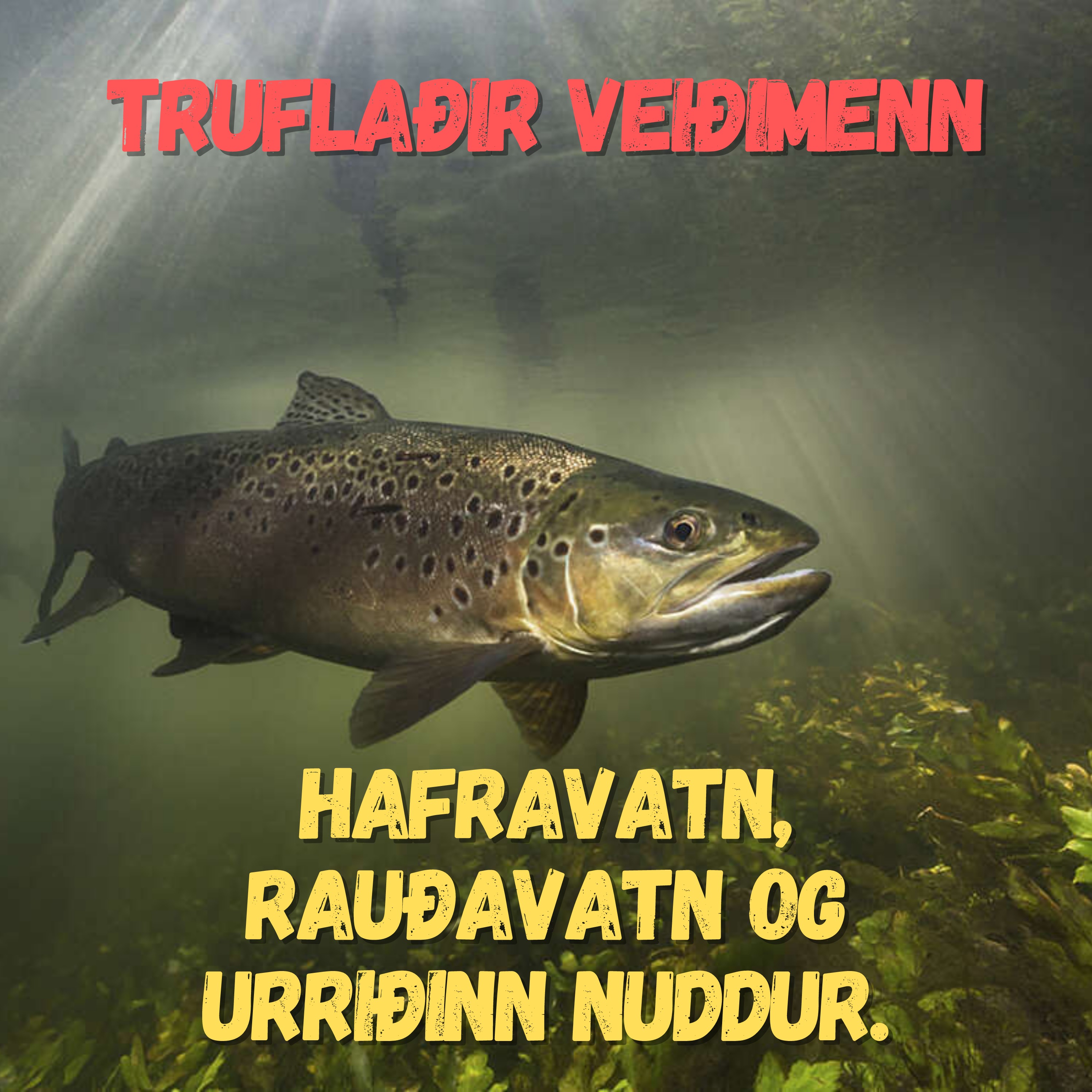 Dagbók urriða - Truflaðir veiðimenn - Áskrift.