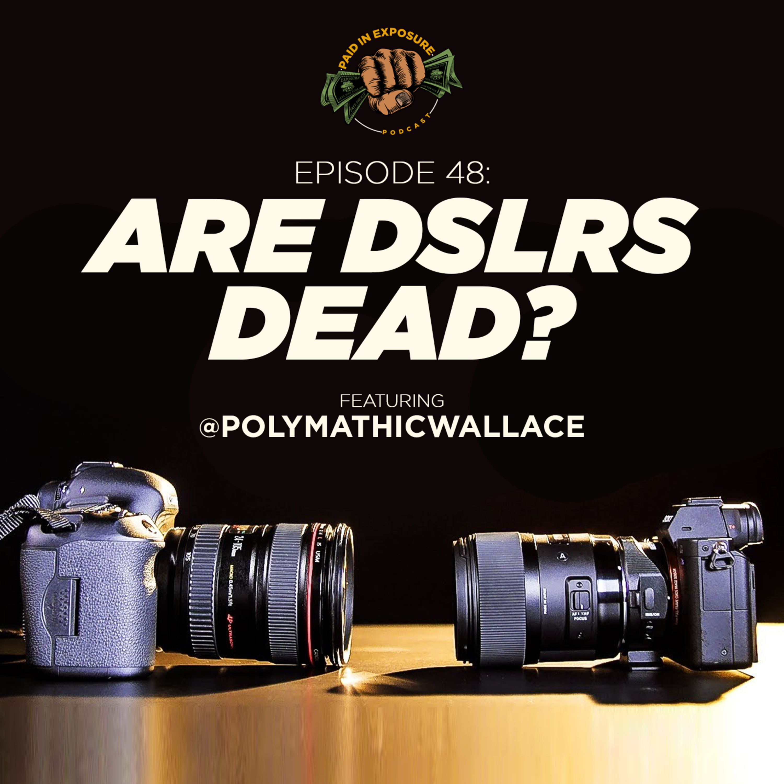 Paid in Exposure Photography Podcast