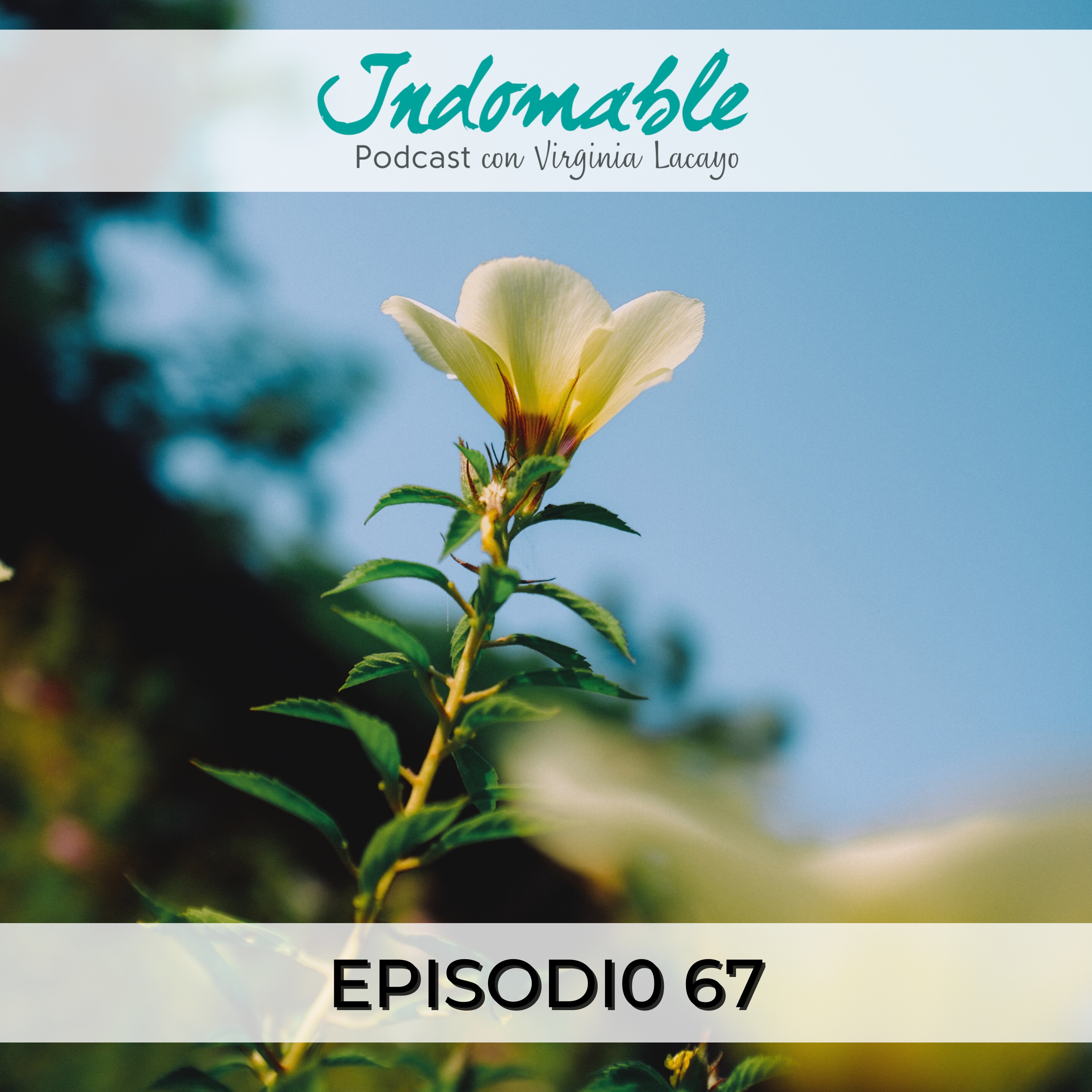Indomable - Podcast con Virginia Lacayo