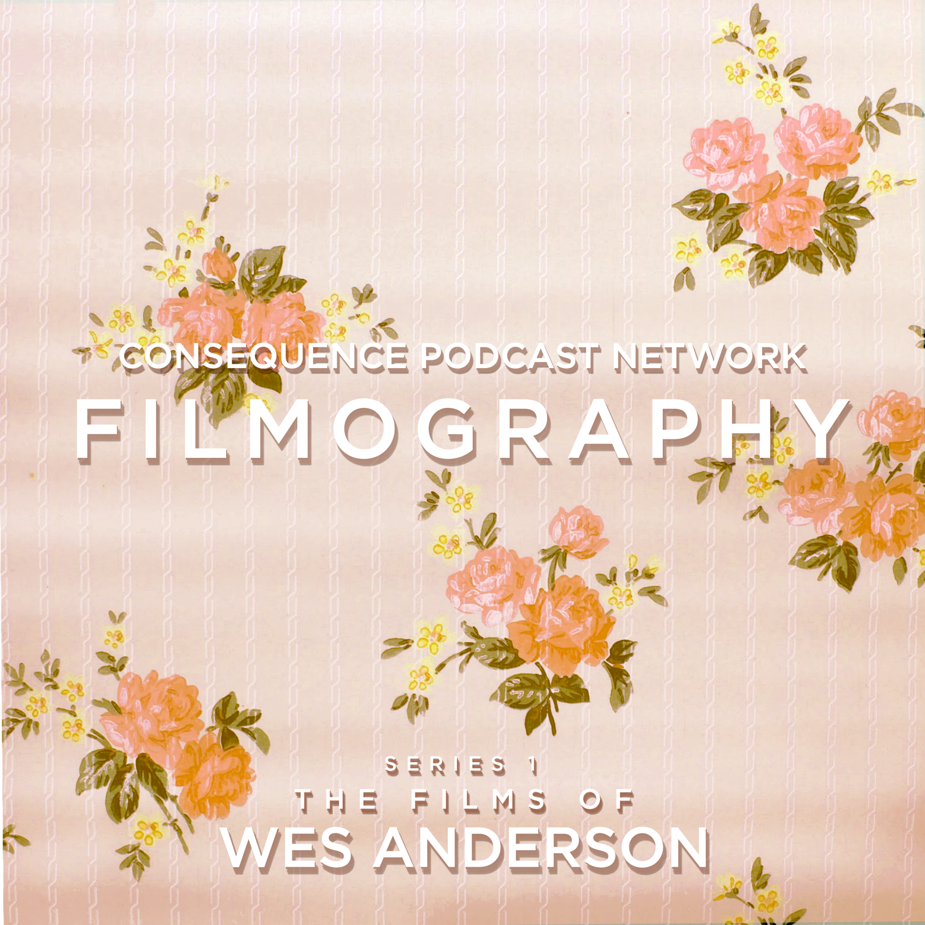 Wes Anderson - Part 1: The Comedian