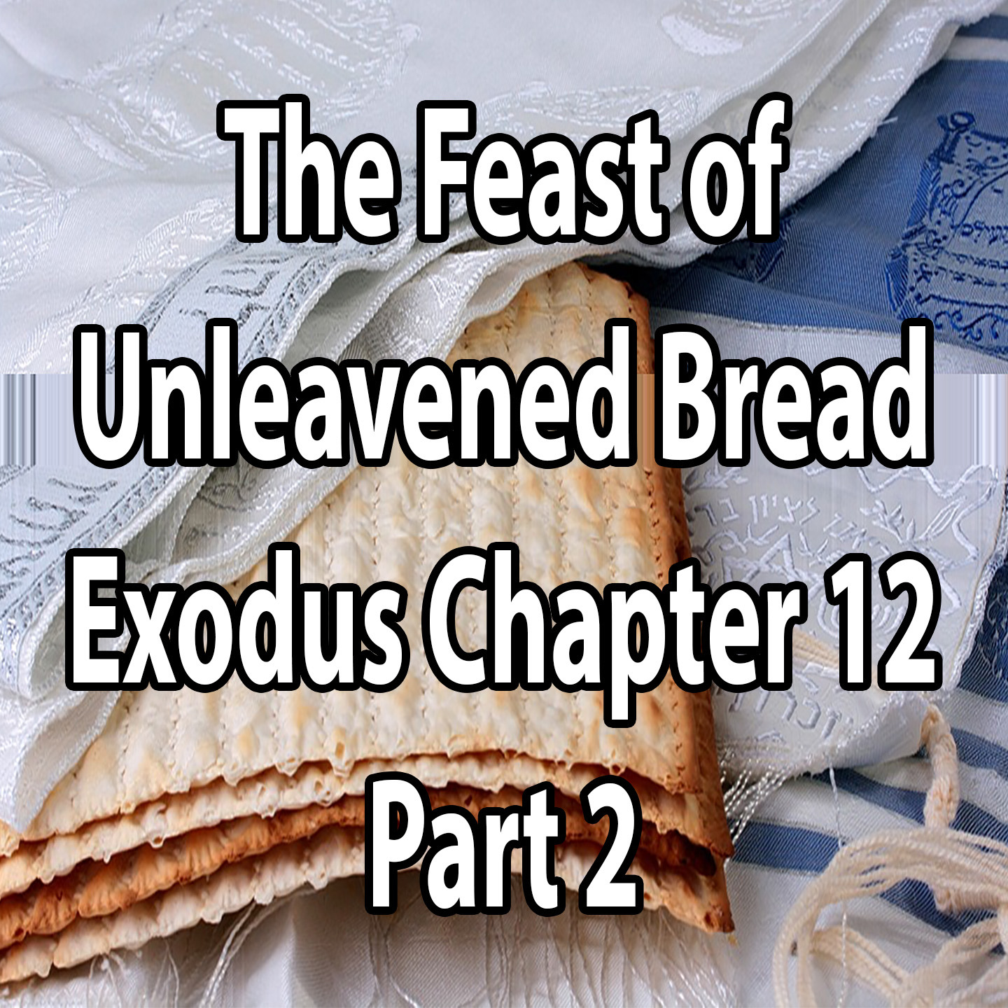 The Feast of Unleavened Bread - Exodus Chapter 12 (part 2) episode artwork