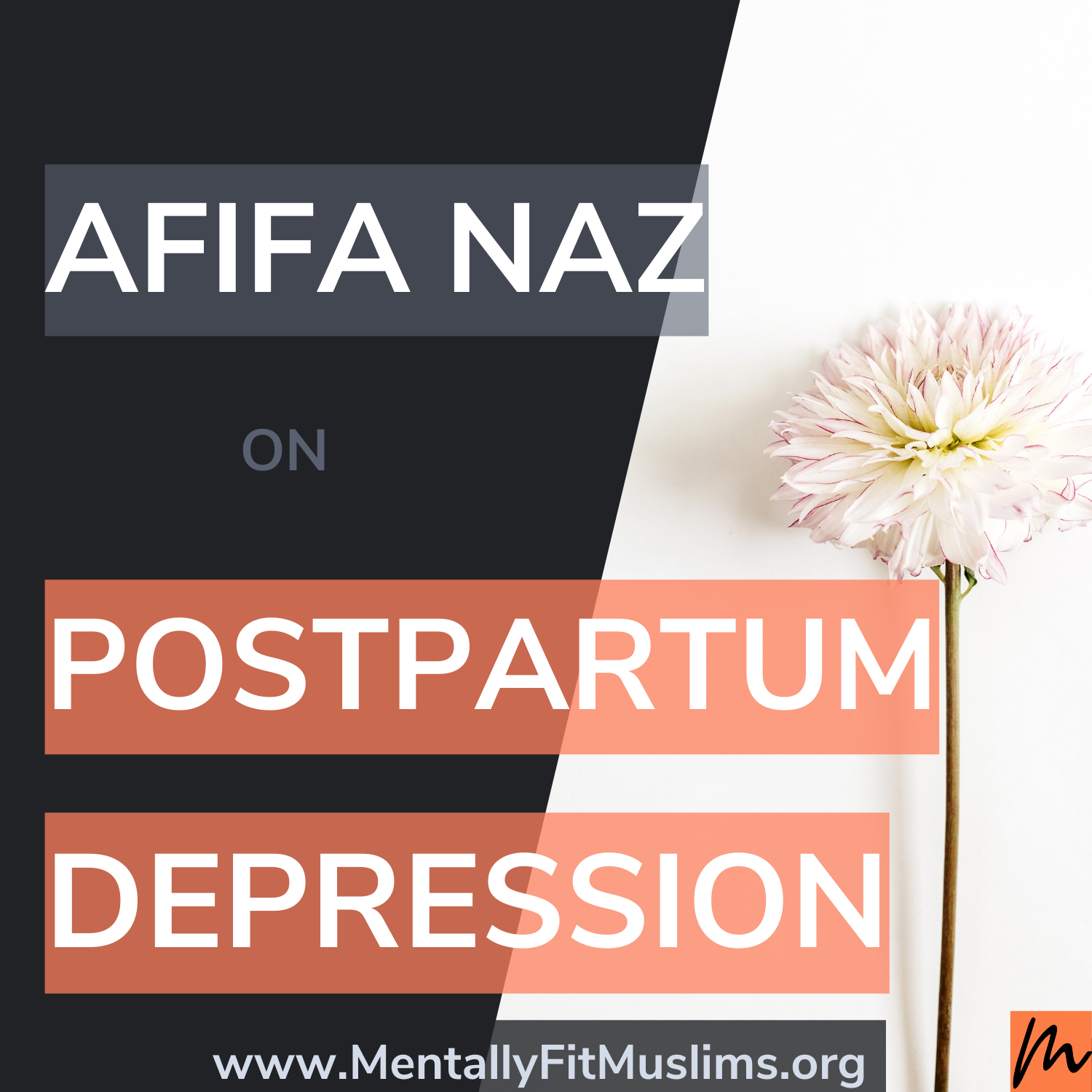 Mentally Fit Muslims