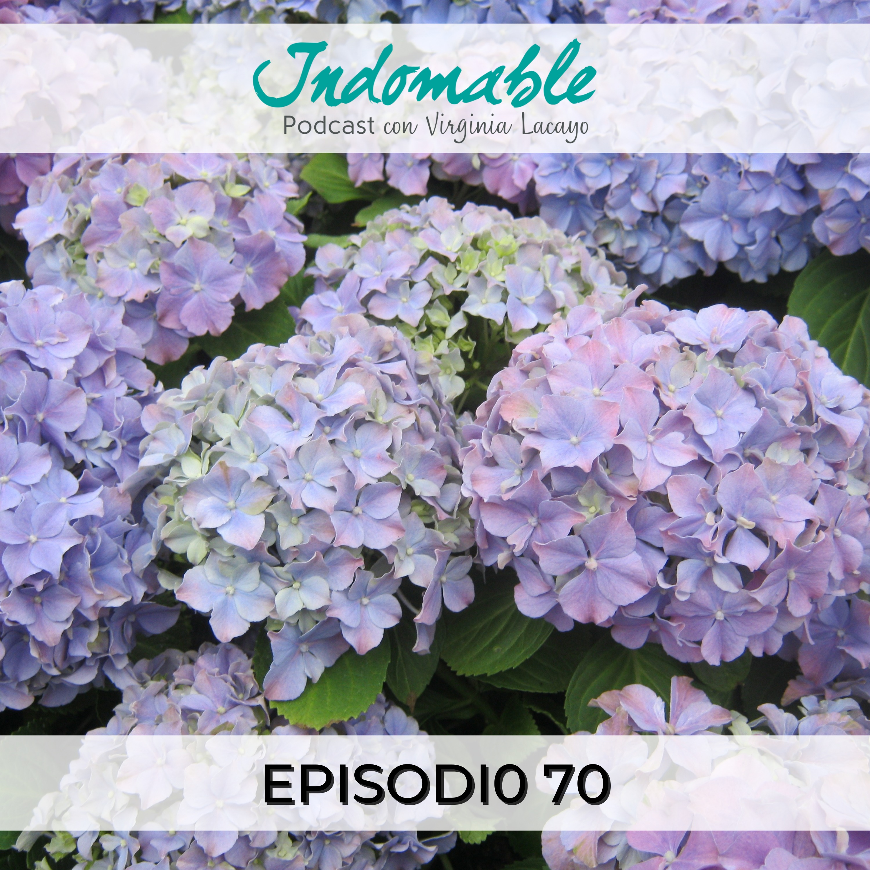 Indomable - Podcast con Virginia Lacayo