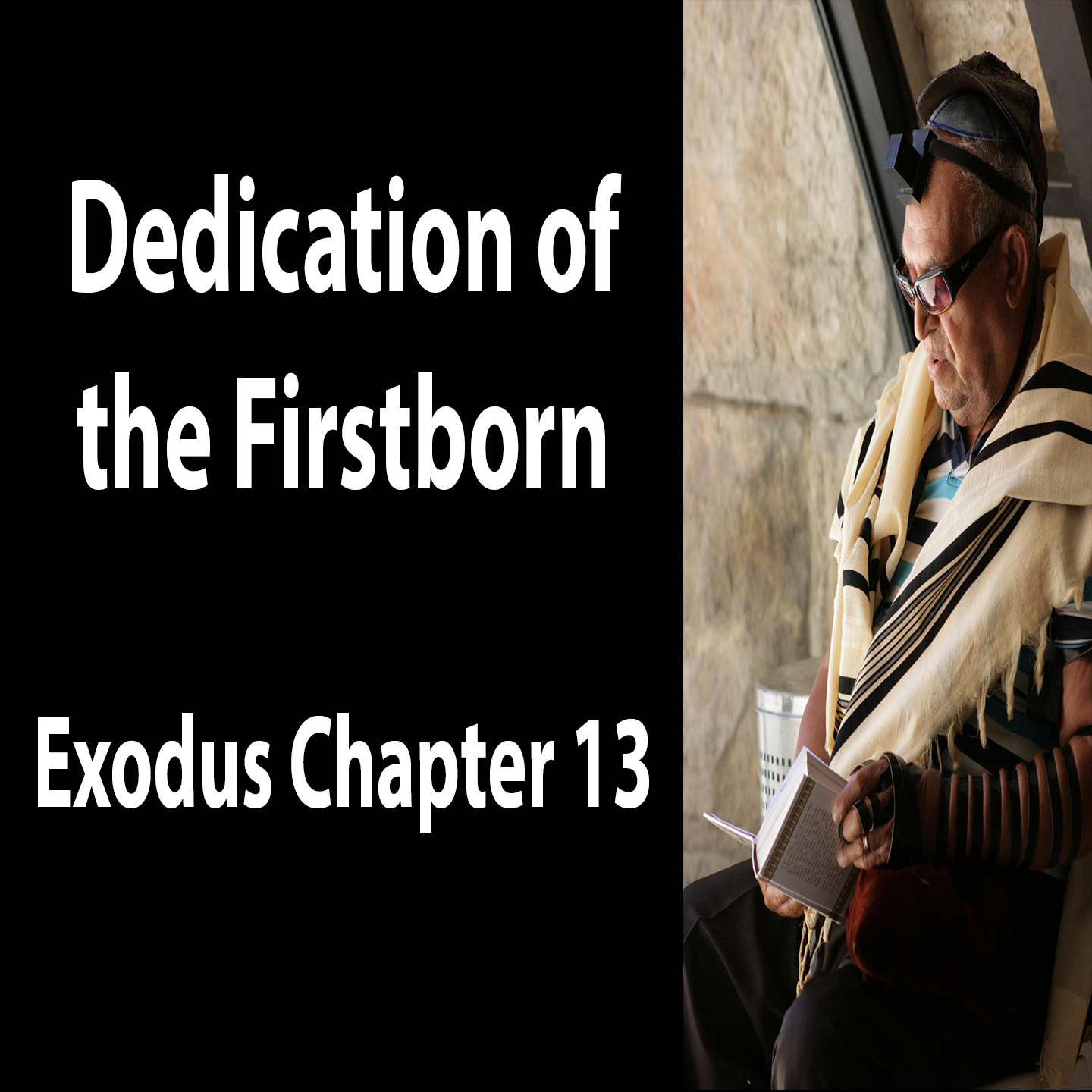 Dedication of the Firstborn- Exodus Chapter 13 episode artwork
