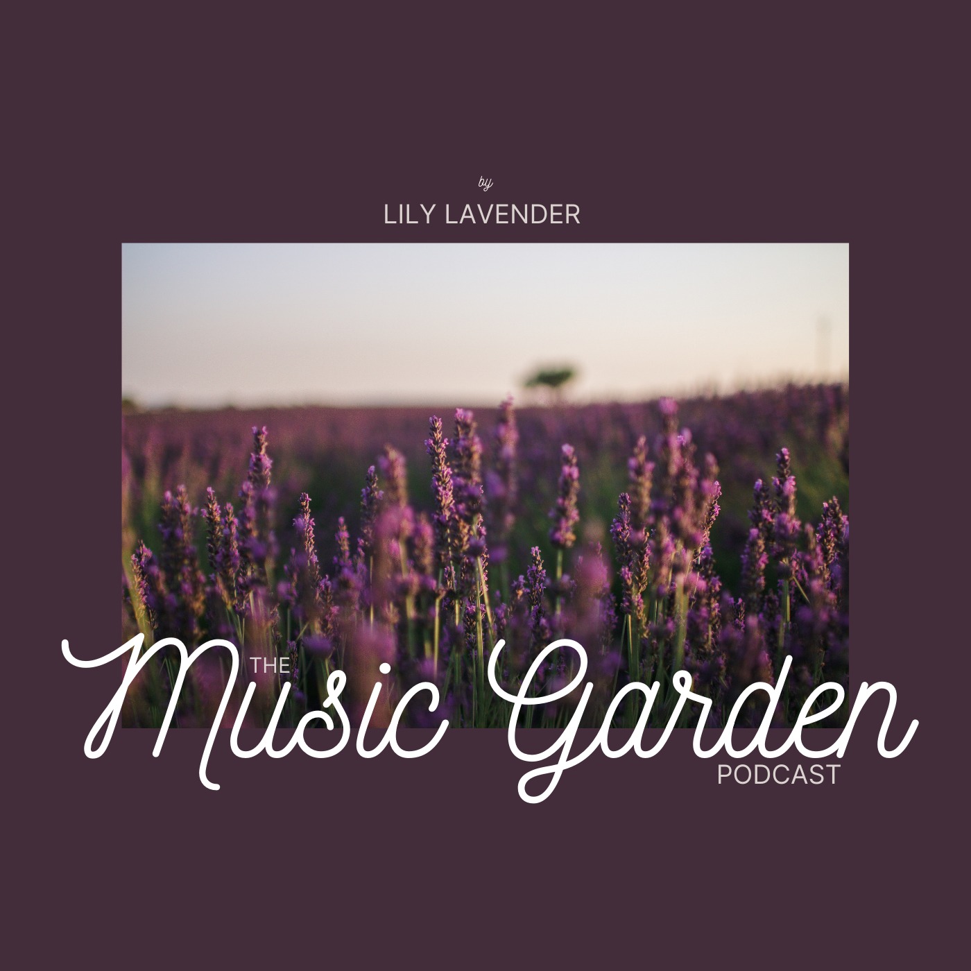 Audio Player Image