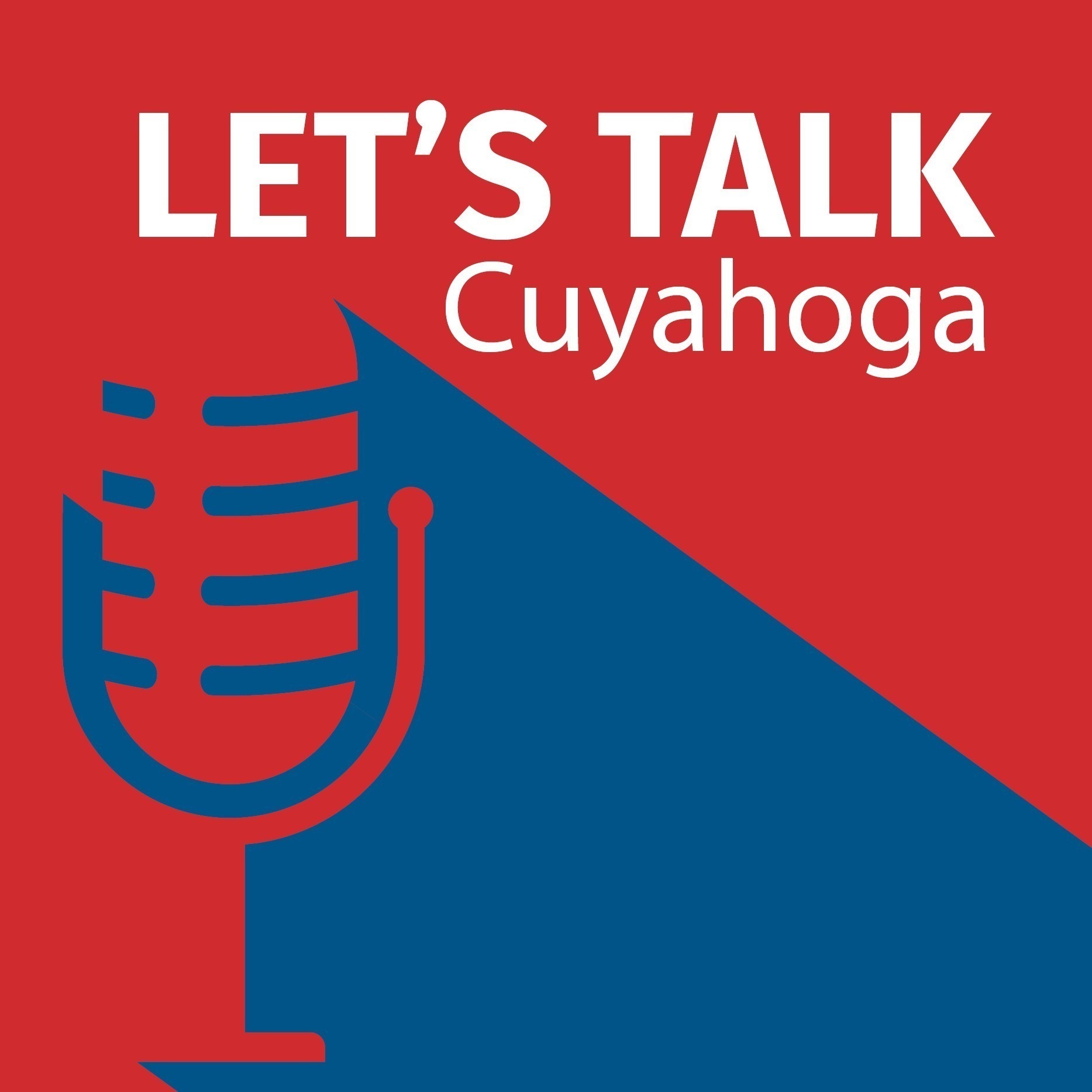 S1E9: Let’s Talk BACK – Follow up from the Lakefront Public Access Plan